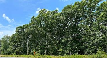 10220 JIM MORRIS RD, FREDERICKSBURG, Virginia 22408, ,Land,For sale,10220 JIM MORRIS RD,VASP2037264 MLS # VASP2037264