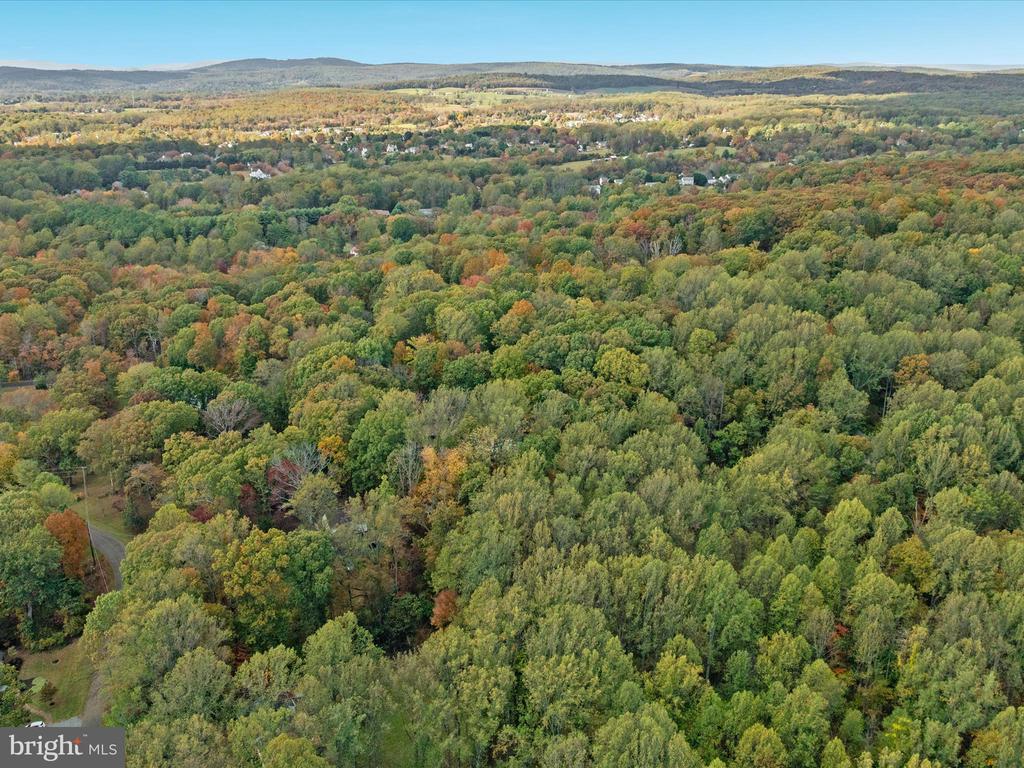 7261 BALDWIN RIDGE RD, WARRENTON, Virginia, 5 Bedrooms Bedrooms, ,3 BathroomsBathrooms,Residential,7261 BALDWIN RIDGE RD,VAFQ2019450 MLS # VAFQ2019450 7261 BALDWIN RIDGE RD, WARRENTON, Virginia, 5 Bedrooms Bedrooms, ,3 BathroomsBathrooms,Residential,7261 BALDWIN RIDGE RD,VAFQ2019450 MLS # VAFQ2019450