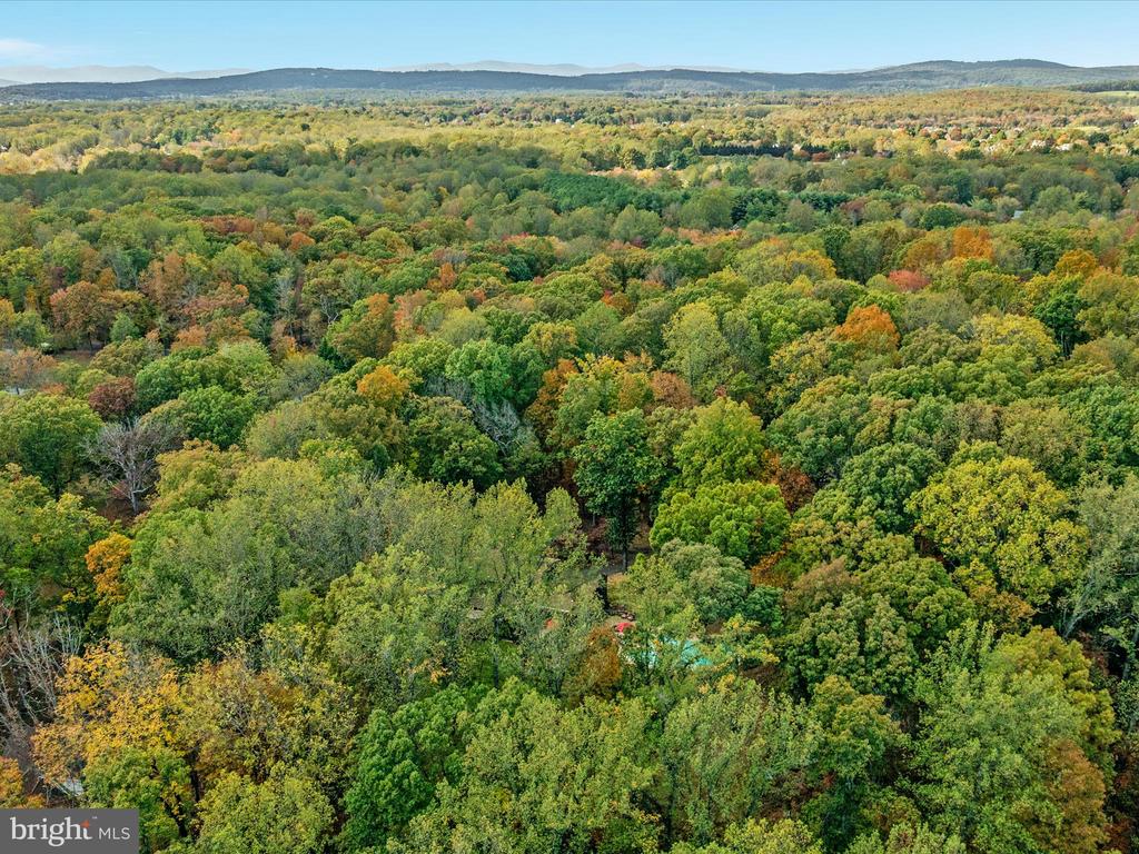 7261 BALDWIN RIDGE RD, WARRENTON, Virginia, 5 Bedrooms Bedrooms, ,3 BathroomsBathrooms,Residential,7261 BALDWIN RIDGE RD,VAFQ2019450 MLS # VAFQ2019450 7261 BALDWIN RIDGE RD, WARRENTON, Virginia, 5 Bedrooms Bedrooms, ,3 BathroomsBathrooms,Residential,7261 BALDWIN RIDGE RD,VAFQ2019450 MLS # VAFQ2019450