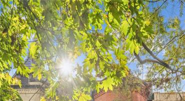 811 MASSACHUSETTS AVE NE, WASHINGTON, District Of Columbia 20002, 5 Bedrooms Bedrooms, ,4 BathroomsBathrooms,Residential,For sale,811 MASSACHUSETTS AVE NE,DCDC2226548 MLS # DCDC2226548