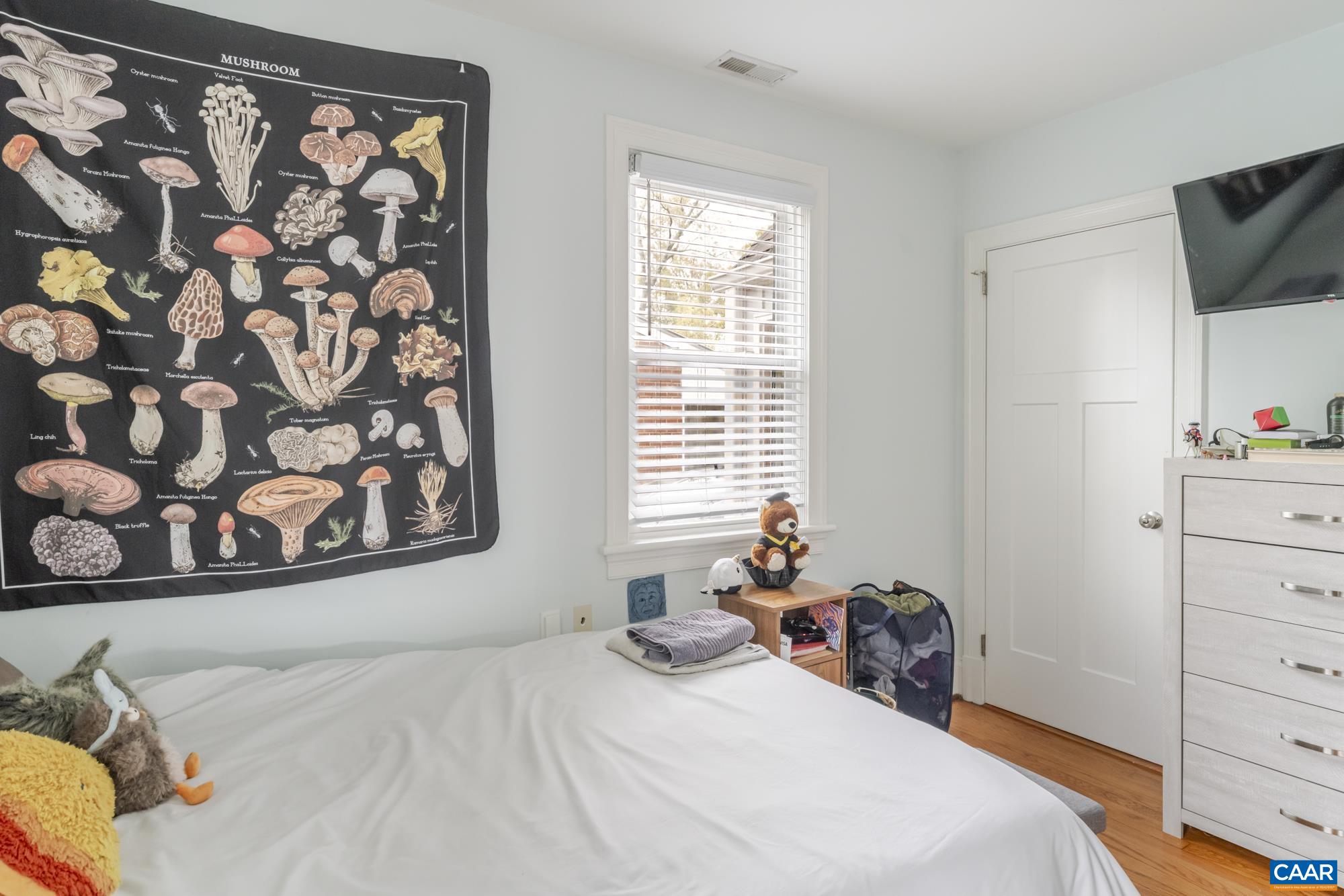 203 A & B RAYMOND AVE, CHARLOTTESVILLE, Virginia 22903, ,Residential,203 A & B RAYMOND AVE,670663 MLS # 670663 203 A & B RAYMOND AVE, CHARLOTTESVILLE, Virginia 22903, ,Residential,203 A & B RAYMOND AVE,670663 MLS # 670663