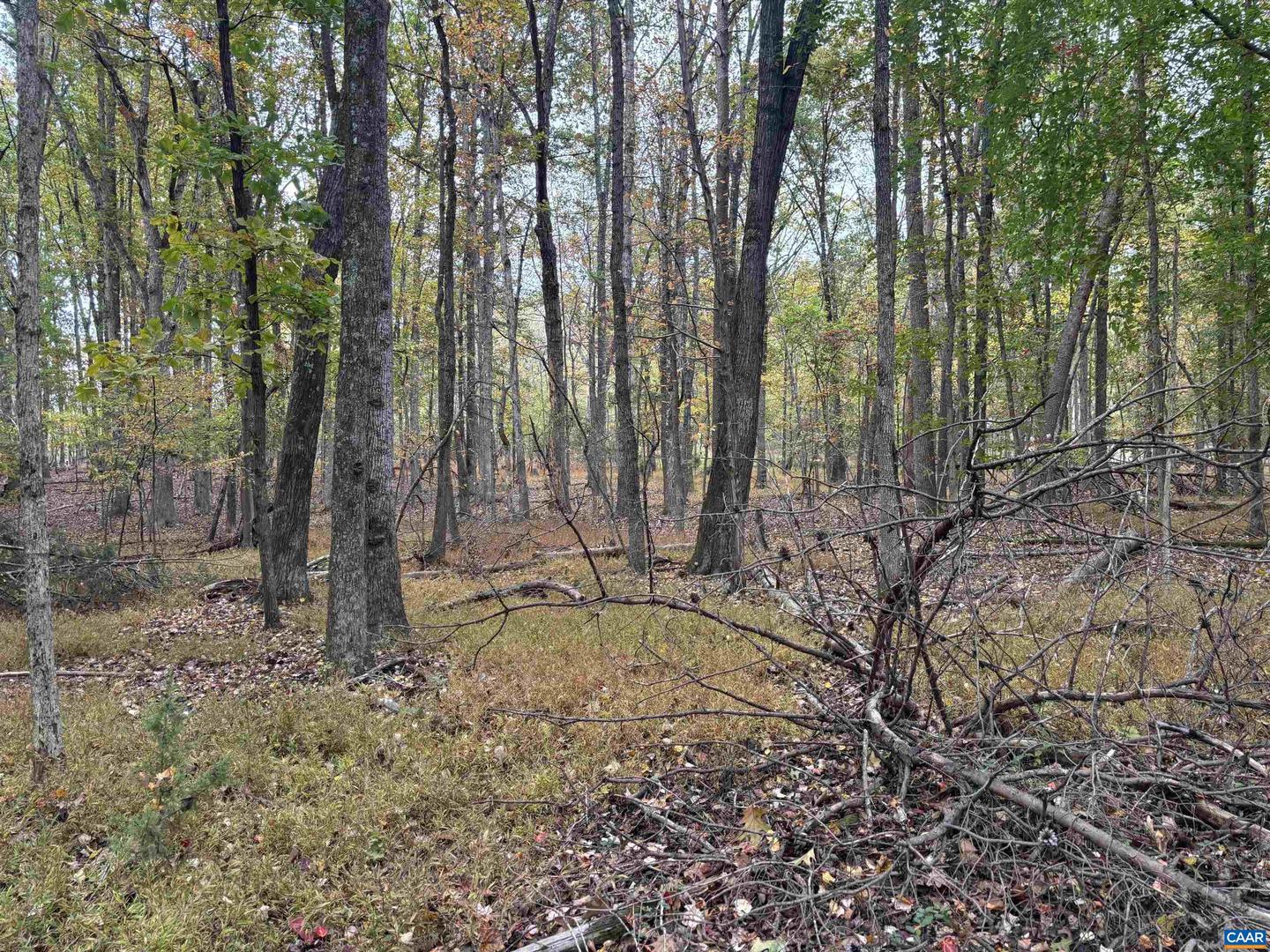 SAINT JOHN RD, GORDONSVILLE, Virginia 22942, ,Land,For sale,SAINT JOHN RD,670661 MLS # 670661