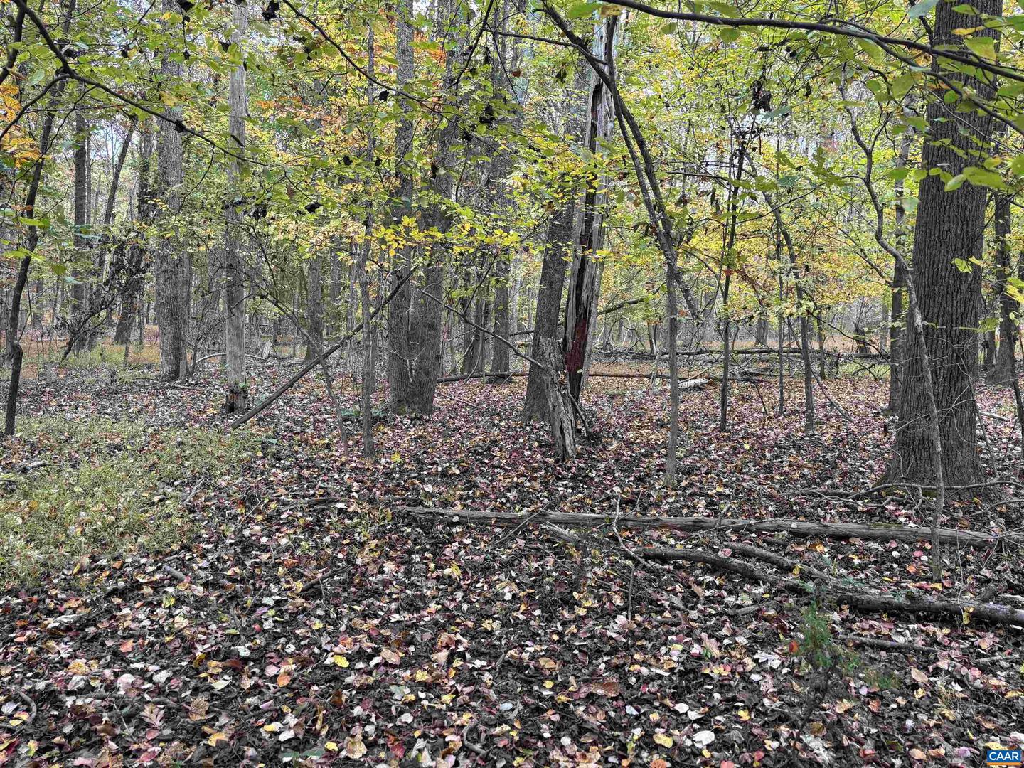 SAINT JOHN RD, GORDONSVILLE, Virginia 22942, ,Land,For sale,SAINT JOHN RD,670661 MLS # 670661