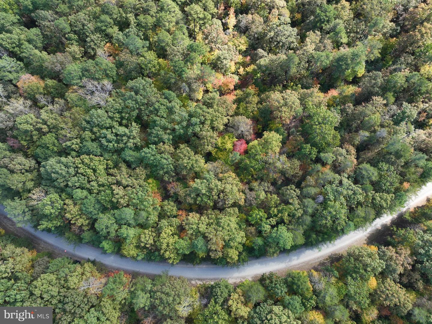 00 OLD CAMP RD, LANEXA, Virginia 23089, ,Land,For sale,00 OLD CAMP RD,VANK2000126 MLS # VANK2000126