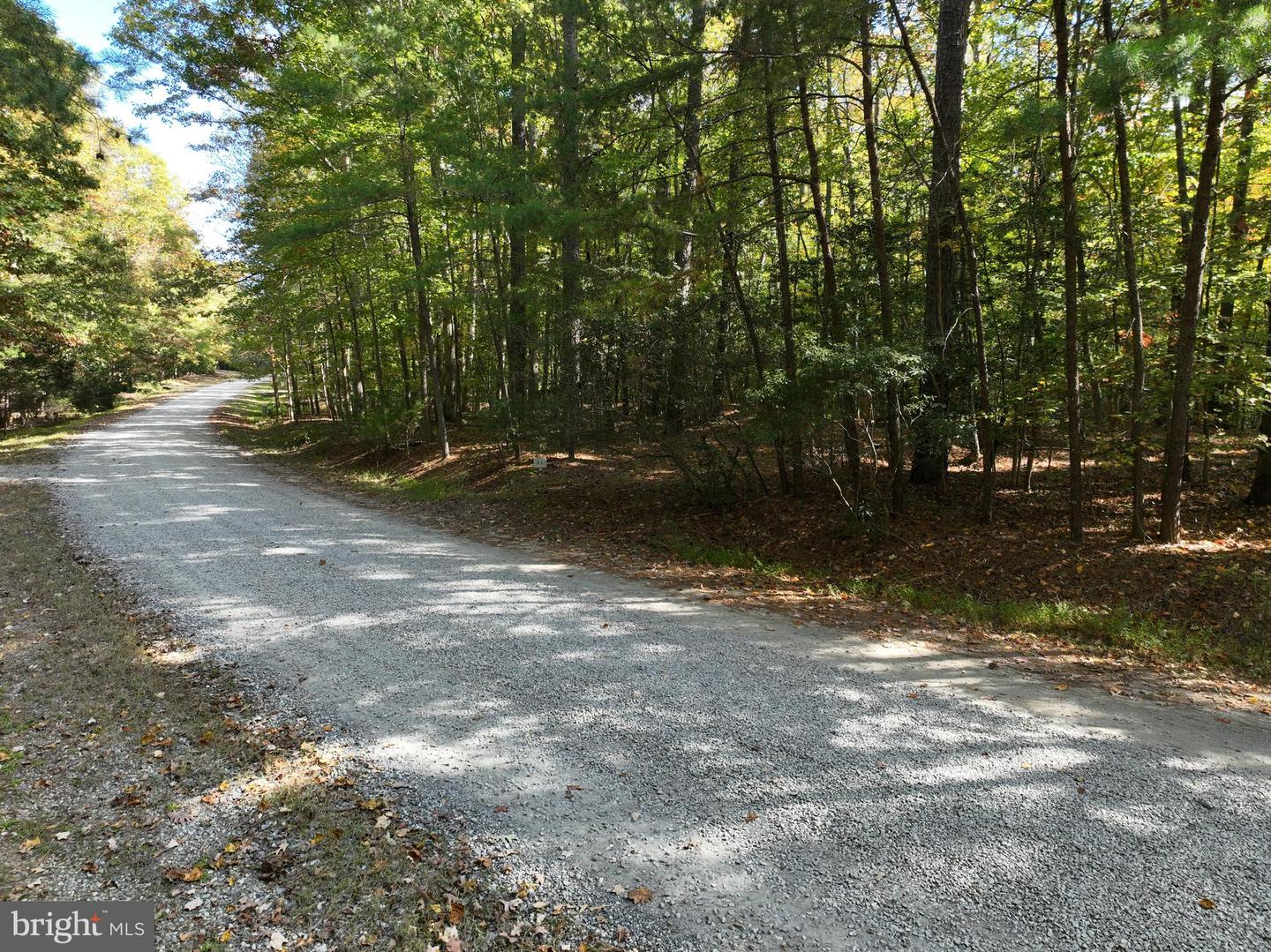 00 OLD CAMP RD, LANEXA, Virginia 23089, ,Land,For sale,00 OLD CAMP RD,VANK2000126 MLS # VANK2000126