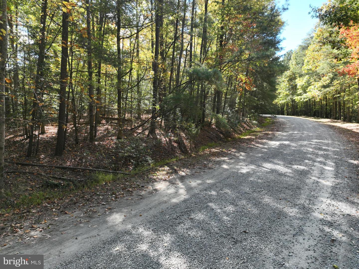 00 OLD CAMP RD, LANEXA, Virginia 23089, ,Land,For sale,00 OLD CAMP RD,VANK2000126 MLS # VANK2000126