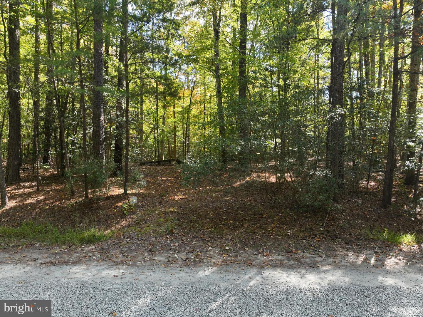 00 OLD CAMP RD, LANEXA, Virginia 23089, ,Land,For sale,00 OLD CAMP RD,VANK2000126 MLS # VANK2000126