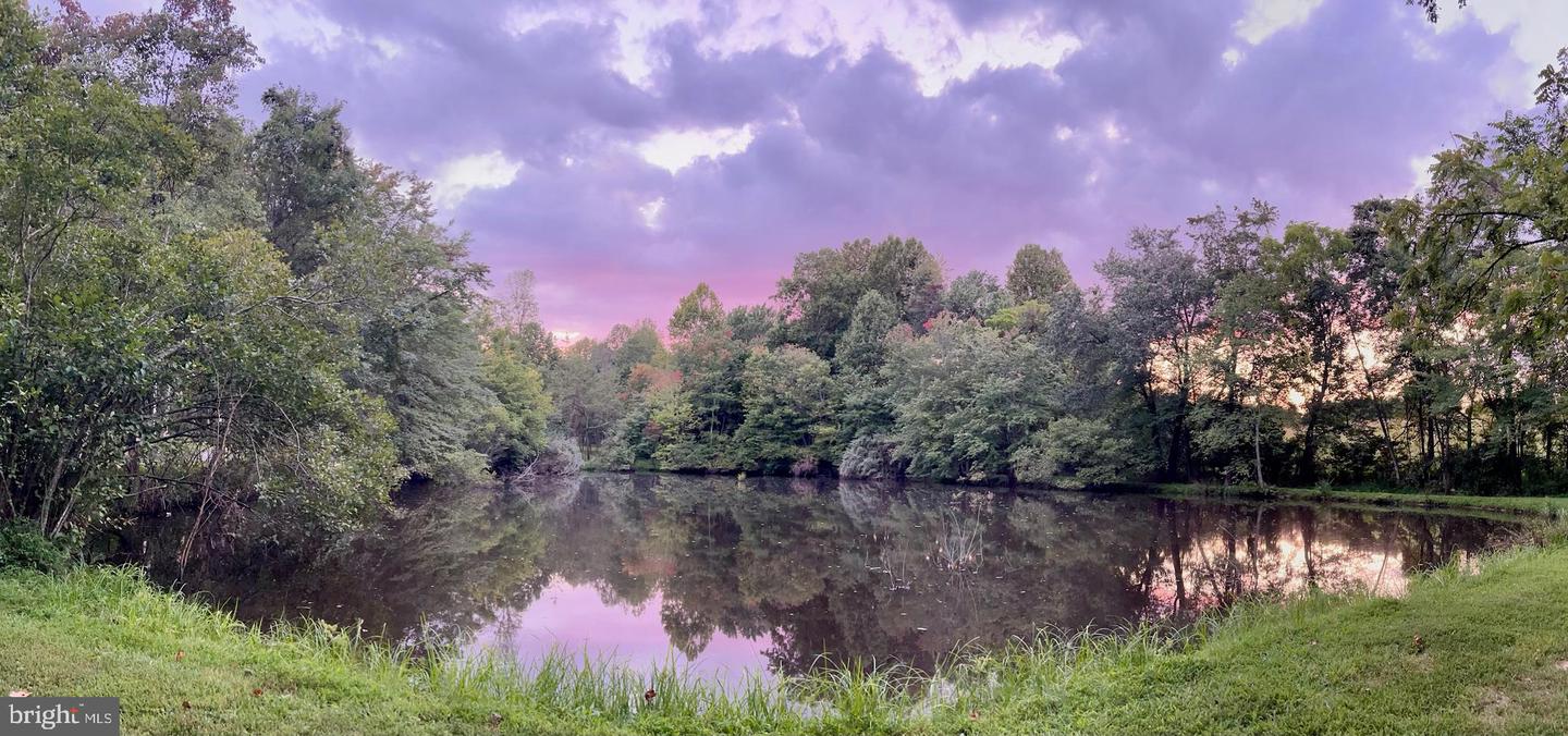 700 BATTLE MOUNTAIN RD, AMISSVILLE, Virginia 20106, 4 Bedrooms Bedrooms, ,2 BathroomsBathrooms,Residential,For sale,700 BATTLE MOUNTAIN RD,VARP2002338 MLS # VARP2002338 700 BATTLE MOUNTAIN RD, AMISSVILLE, Virginia 20106, 4 Bedrooms Bedrooms, ,2 BathroomsBathrooms,Residential,For sale,700 BATTLE MOUNTAIN RD,VARP2002338 MLS # VARP2002338