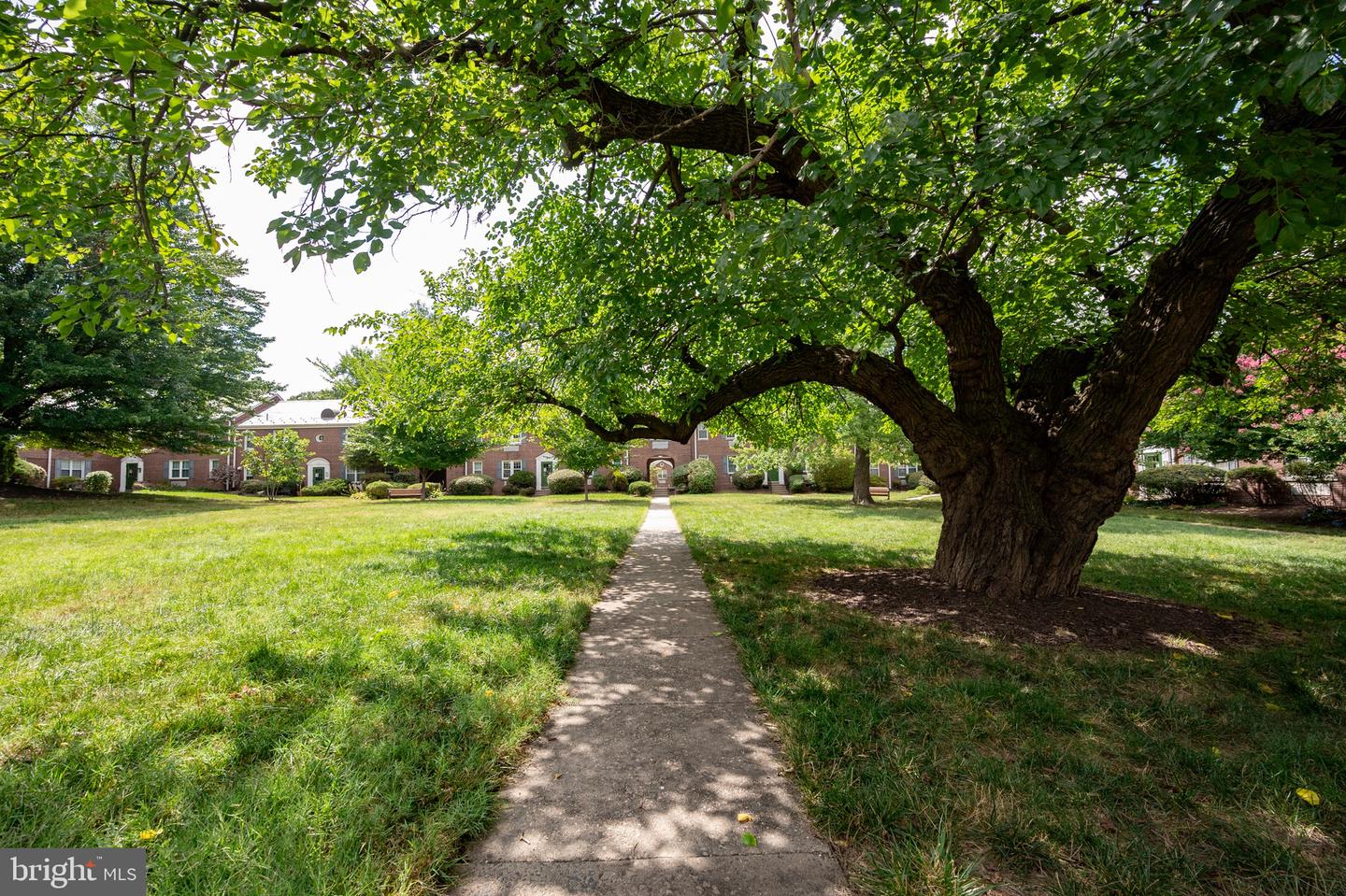 13 AUBURN CT #D, ALEXANDRIA, Virginia 22305, 2 Bedrooms Bedrooms, ,1 BathroomBathrooms,Residential,For sale,13 AUBURN CT #D,VAAX2051278 MLS # VAAX2051278 13 AUBURN CT #D, ALEXANDRIA, Virginia 22305, 2 Bedrooms Bedrooms, ,1 BathroomBathrooms,Residential,For sale,13 AUBURN CT #D,VAAX2051278 MLS # VAAX2051278
