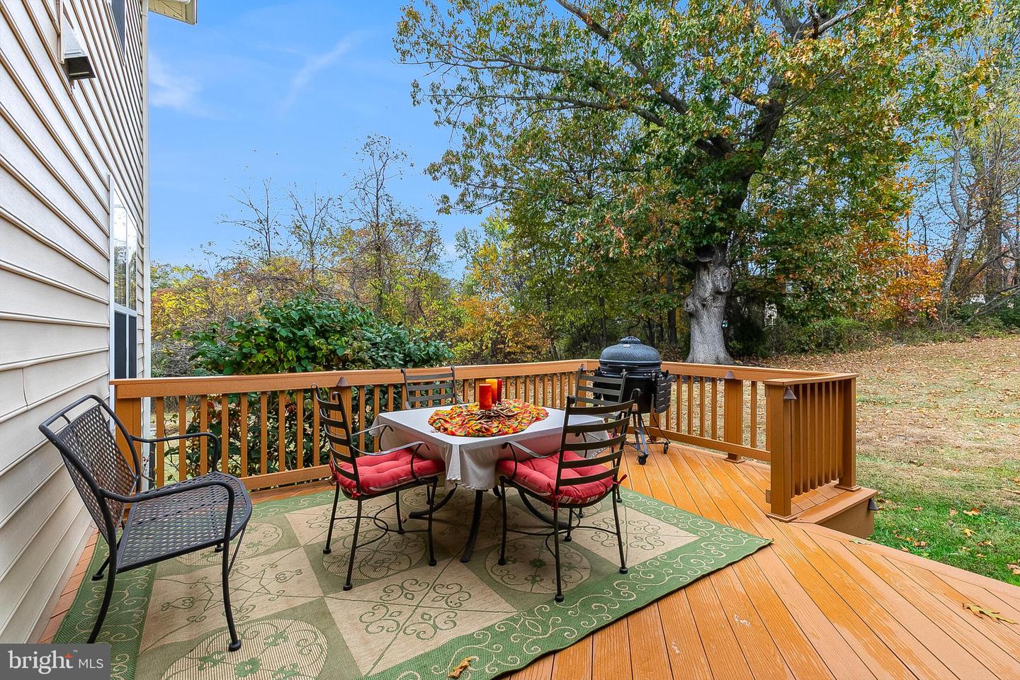 40390 ALDIE SPRINGS DR, ALDIE, Virginia 20105, 5 Bedrooms Bedrooms, ,4 BathroomsBathrooms,Residential,For sale,40390 ALDIE SPRINGS DR,VALO2110058 MLS # VALO2110058