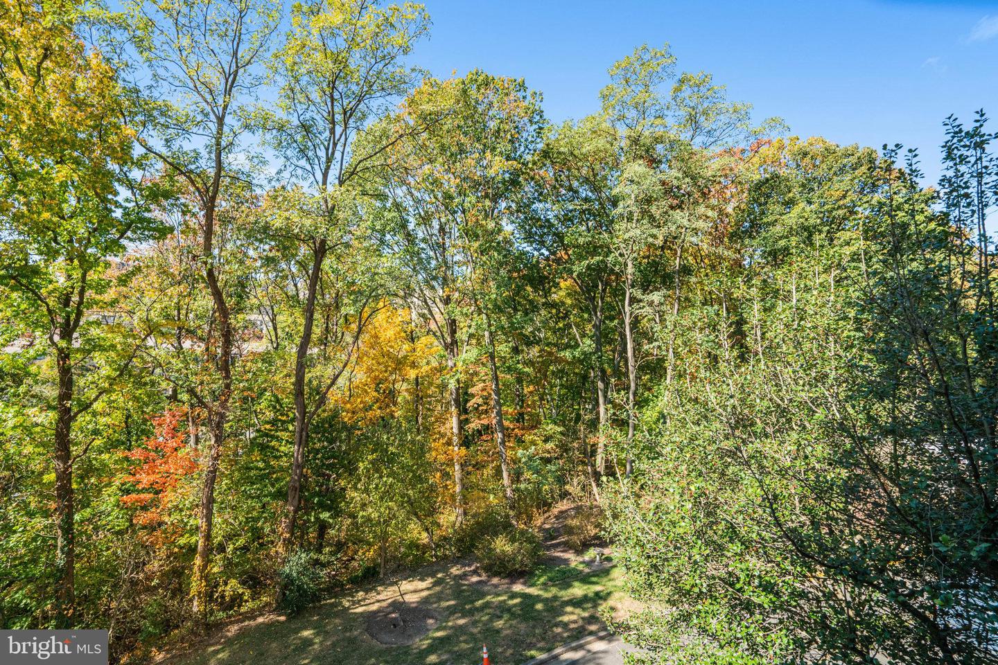 6101 EDSALL RD #312, ALEXANDRIA, Virginia 22304, 2 Bedrooms Bedrooms, ,2 BathroomsBathrooms,Residential,For sale,6101 EDSALL RD #312,VAAX2051348 MLS # VAAX2051348 6101 EDSALL RD #312, ALEXANDRIA, Virginia 22304, 2 Bedrooms Bedrooms, ,2 BathroomsBathrooms,Residential,For sale,6101 EDSALL RD #312,VAAX2051348 MLS # VAAX2051348