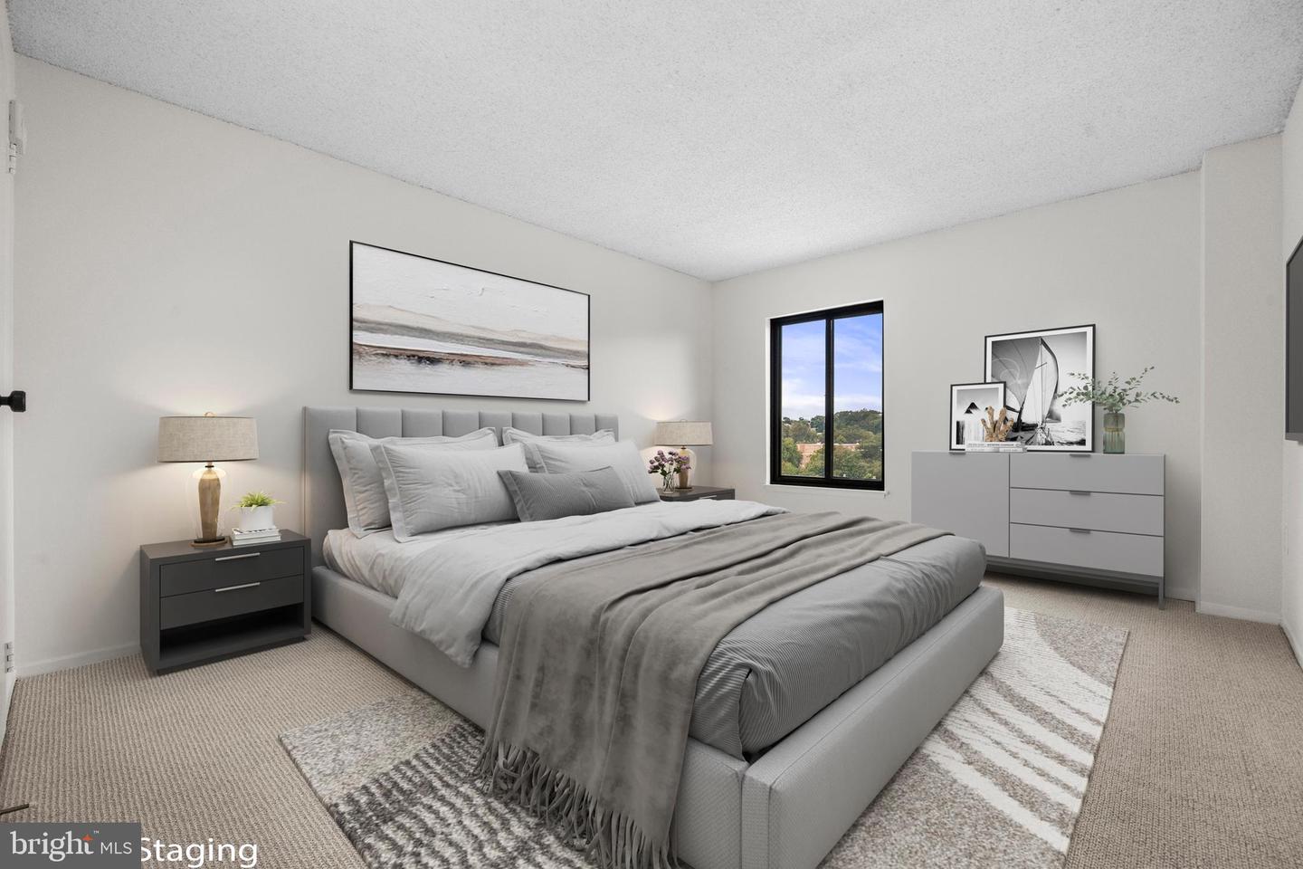 4500 S FOUR MILE RUN DR S #910, ARLINGTON, Virginia 22204, 1 Bedroom Bedrooms, ,1 BathroomBathrooms,Residential,For sale,4500 S FOUR MILE RUN DR S #910,VAAR2064672 MLS # VAAR2064672