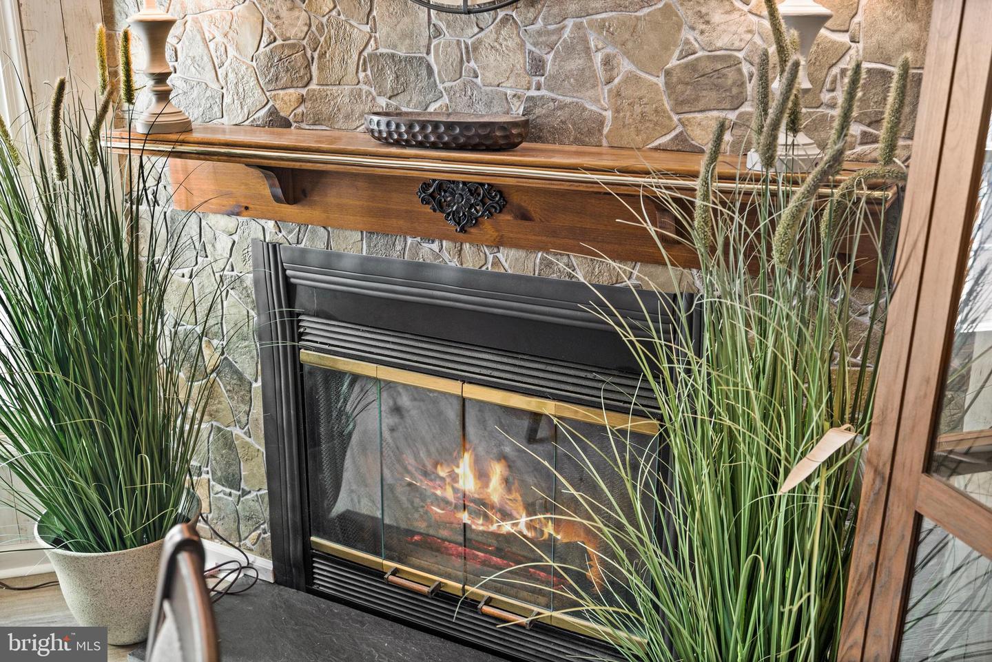 29231 RACCOON FORD RD, BURR HILL, Virginia 22433, 3 Bedrooms Bedrooms, ,2 BathroomsBathrooms,Residential,For sale,29231 RACCOON FORD RD,VAOR2012578 MLS # VAOR2012578 29231 RACCOON FORD RD, BURR HILL, Virginia 22433, 3 Bedrooms Bedrooms, ,2 BathroomsBathrooms,Residential,For sale,29231 RACCOON FORD RD,VAOR2012578 MLS # VAOR2012578