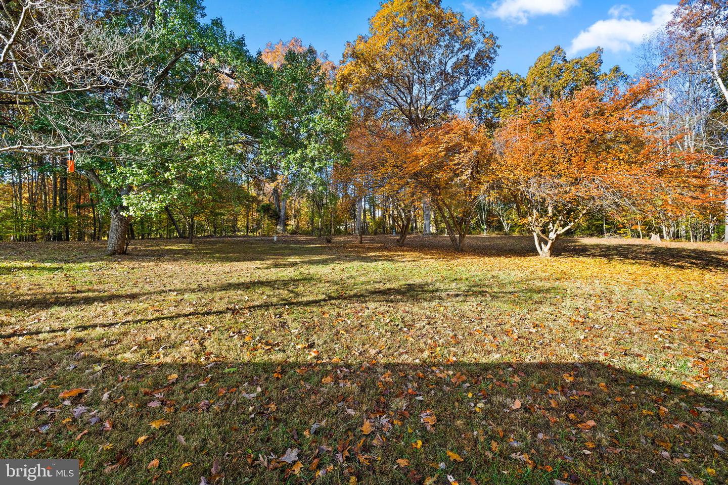 29231 RACCOON FORD RD, BURR HILL, Virginia 22433, 3 Bedrooms Bedrooms, ,2 BathroomsBathrooms,Residential,For sale,29231 RACCOON FORD RD,VAOR2012578 MLS # VAOR2012578 29231 RACCOON FORD RD, BURR HILL, Virginia 22433, 3 Bedrooms Bedrooms, ,2 BathroomsBathrooms,Residential,For sale,29231 RACCOON FORD RD,VAOR2012578 MLS # VAOR2012578