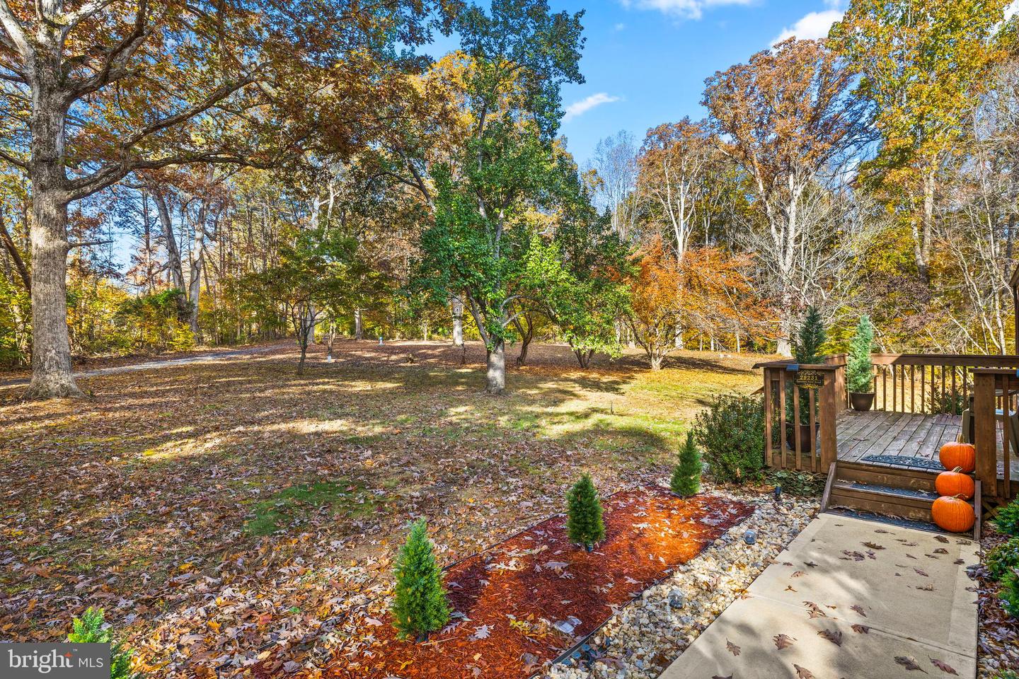 29231 RACCOON FORD RD, BURR HILL, Virginia 22433, 3 Bedrooms Bedrooms, ,2 BathroomsBathrooms,Residential,For sale,29231 RACCOON FORD RD,VAOR2012578 MLS # VAOR2012578 29231 RACCOON FORD RD, BURR HILL, Virginia 22433, 3 Bedrooms Bedrooms, ,2 BathroomsBathrooms,Residential,For sale,29231 RACCOON FORD RD,VAOR2012578 MLS # VAOR2012578