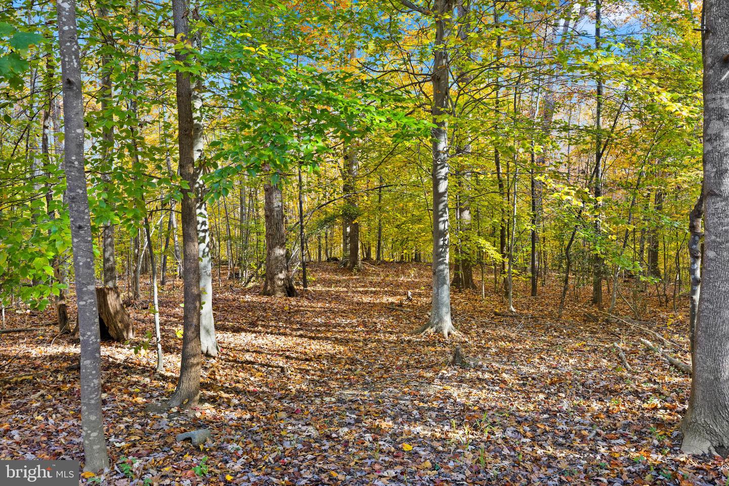 29231 RACCOON FORD RD, BURR HILL, Virginia 22433, 3 Bedrooms Bedrooms, ,2 BathroomsBathrooms,Residential,For sale,29231 RACCOON FORD RD,VAOR2012578 MLS # VAOR2012578 29231 RACCOON FORD RD, BURR HILL, Virginia 22433, 3 Bedrooms Bedrooms, ,2 BathroomsBathrooms,Residential,For sale,29231 RACCOON FORD RD,VAOR2012578 MLS # VAOR2012578