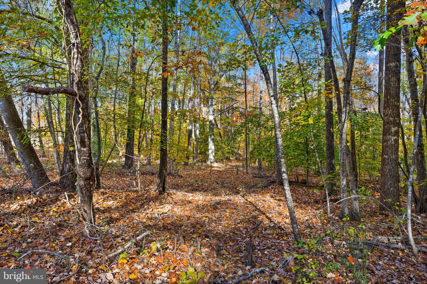 29231 RACCOON FORD RD, BURR HILL, Virginia 22433, 3 Bedrooms Bedrooms, ,2 BathroomsBathrooms,Residential,For sale,29231 RACCOON FORD RD,VAOR2012578 MLS # VAOR2012578 29231 RACCOON FORD RD, BURR HILL, Virginia 22433, 3 Bedrooms Bedrooms, ,2 BathroomsBathrooms,Residential,For sale,29231 RACCOON FORD RD,VAOR2012578 MLS # VAOR2012578