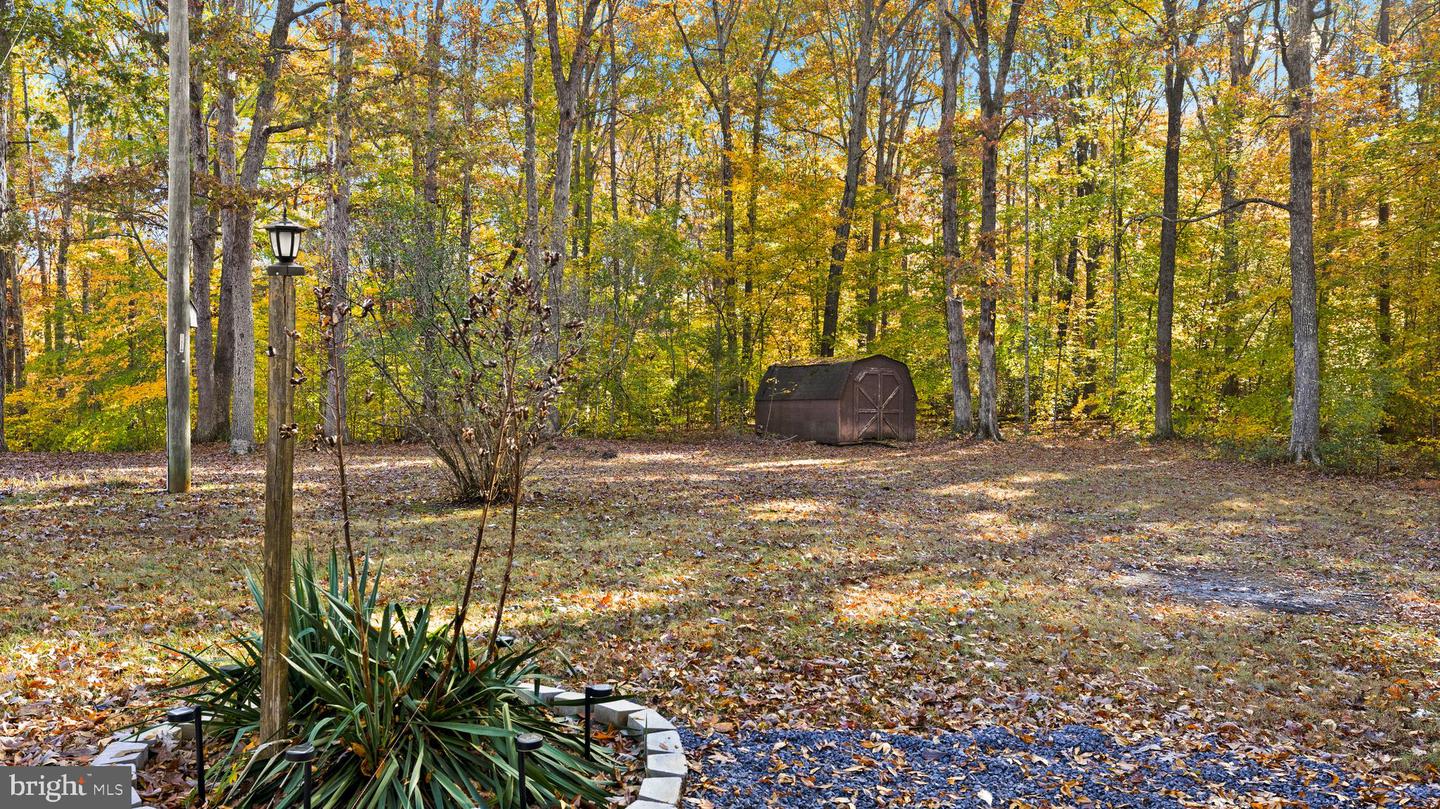 29231 RACCOON FORD RD, BURR HILL, Virginia 22433, 3 Bedrooms Bedrooms, ,2 BathroomsBathrooms,Residential,For sale,29231 RACCOON FORD RD,VAOR2012578 MLS # VAOR2012578 29231 RACCOON FORD RD, BURR HILL, Virginia 22433, 3 Bedrooms Bedrooms, ,2 BathroomsBathrooms,Residential,For sale,29231 RACCOON FORD RD,VAOR2012578 MLS # VAOR2012578