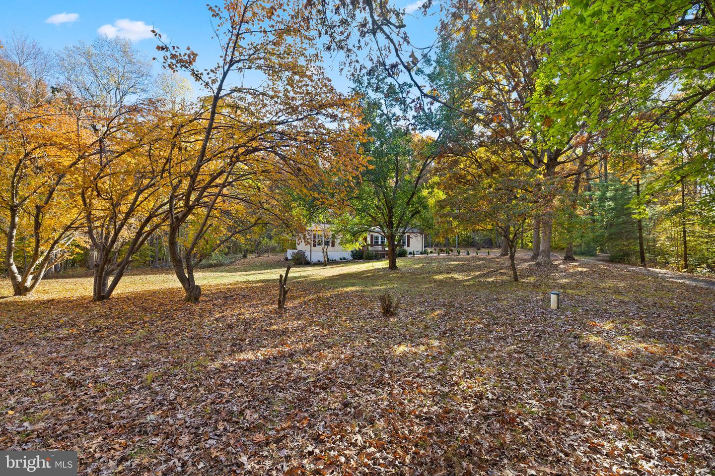 29231 RACCOON FORD RD, BURR HILL, Virginia 22433, 3 Bedrooms Bedrooms, ,2 BathroomsBathrooms,Residential,For sale,29231 RACCOON FORD RD,VAOR2012578 MLS # VAOR2012578 29231 RACCOON FORD RD, BURR HILL, Virginia 22433, 3 Bedrooms Bedrooms, ,2 BathroomsBathrooms,Residential,For sale,29231 RACCOON FORD RD,VAOR2012578 MLS # VAOR2012578