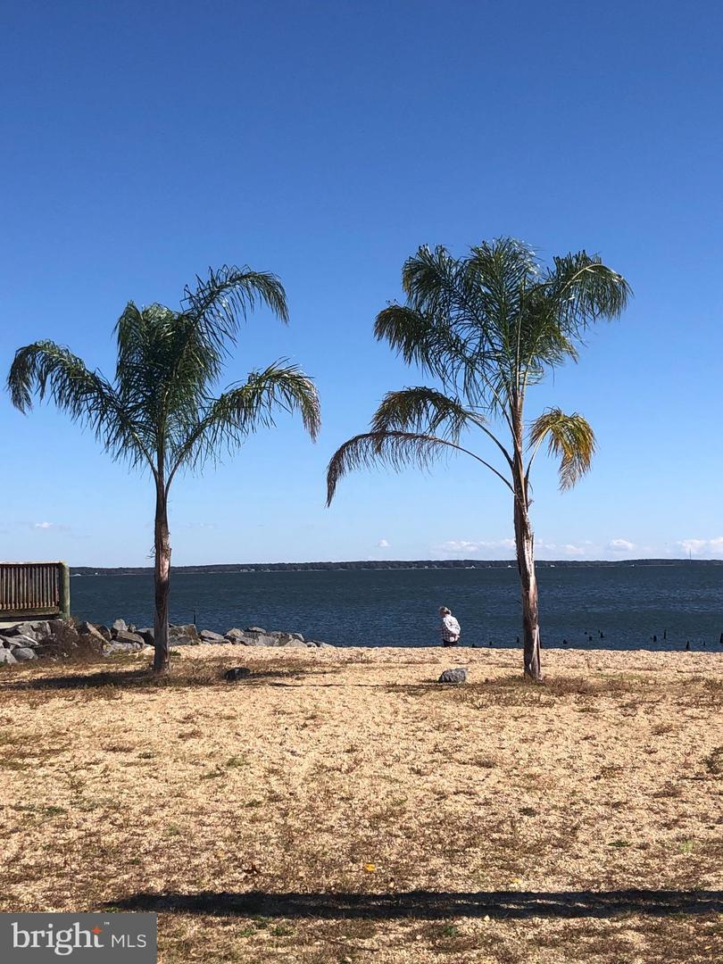 88 BROOKS DR, COLONIAL BEACH, Virginia 22443, 3 Bedrooms Bedrooms, ,2 BathroomsBathrooms,Residential,For sale,88 BROOKS DR,VAWE2010004 MLS # VAWE2010004 88 BROOKS DR, COLONIAL BEACH, Virginia 22443, 3 Bedrooms Bedrooms, ,2 BathroomsBathrooms,Residential,For sale,88 BROOKS DR,VAWE2010004 MLS # VAWE2010004