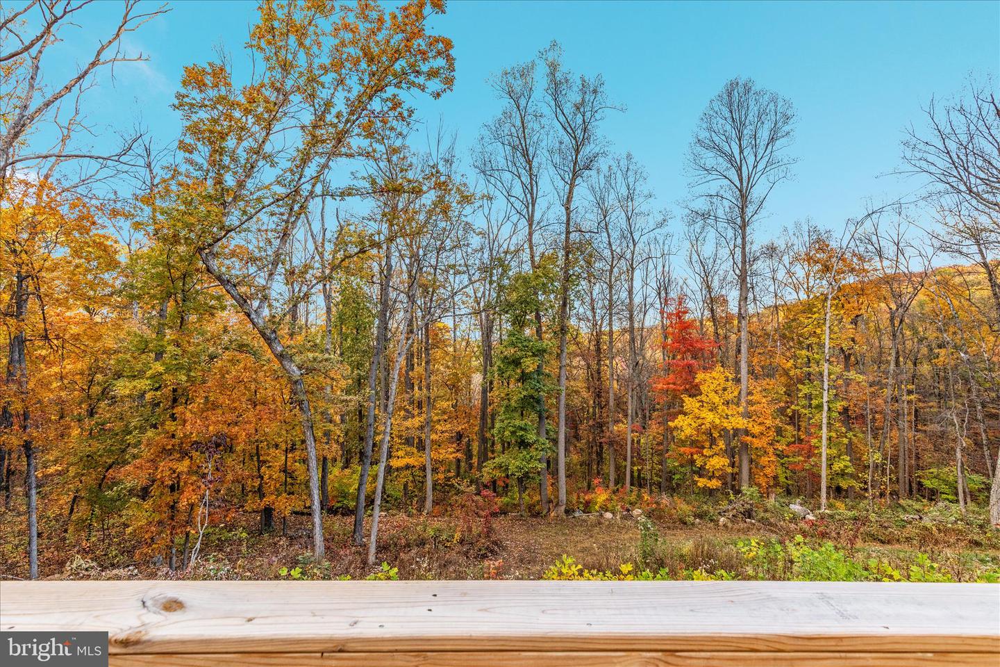 875 HUNTER LN, EDINBURG, Virginia 22824, 1 Bedroom Bedrooms, ,1 BathroomBathrooms,Residential,For sale,875 HUNTER LN,VASH2012862 MLS # VASH2012862