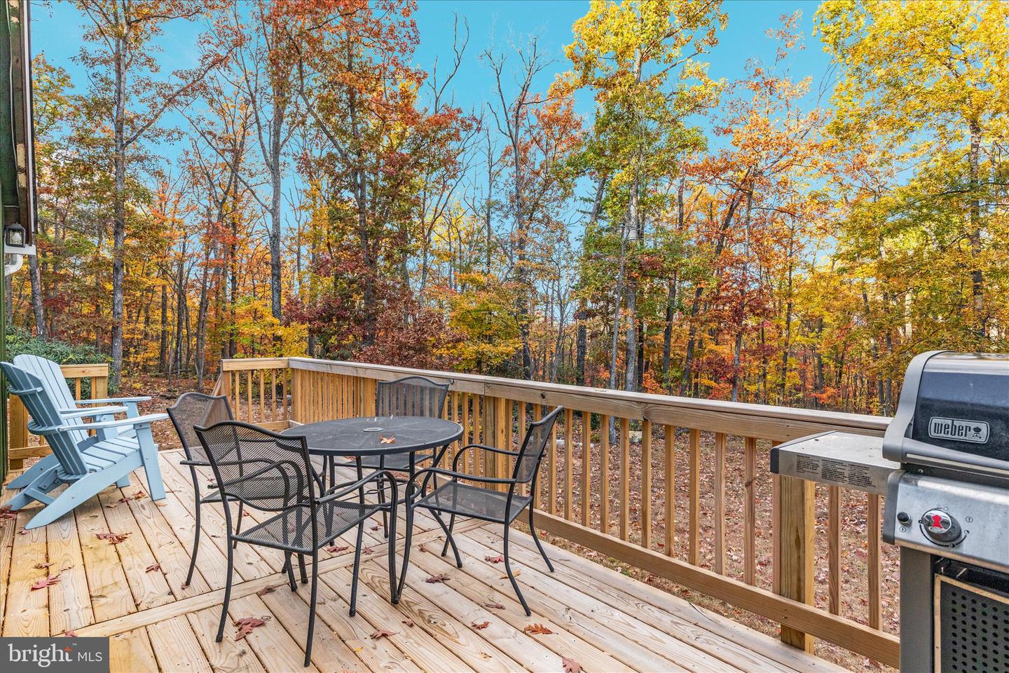 875 HUNTER LN, EDINBURG, Virginia 22824, 1 Bedroom Bedrooms, ,1 BathroomBathrooms,Residential,For sale,875 HUNTER LN,VASH2012862 MLS # VASH2012862