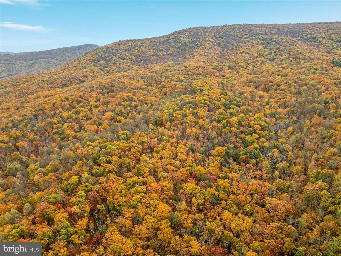 875 HUNTER LN, EDINBURG, Virginia 22824, 1 Bedroom Bedrooms, ,1 BathroomBathrooms,Residential,For sale,875 HUNTER LN,VASH2012862 MLS # VASH2012862