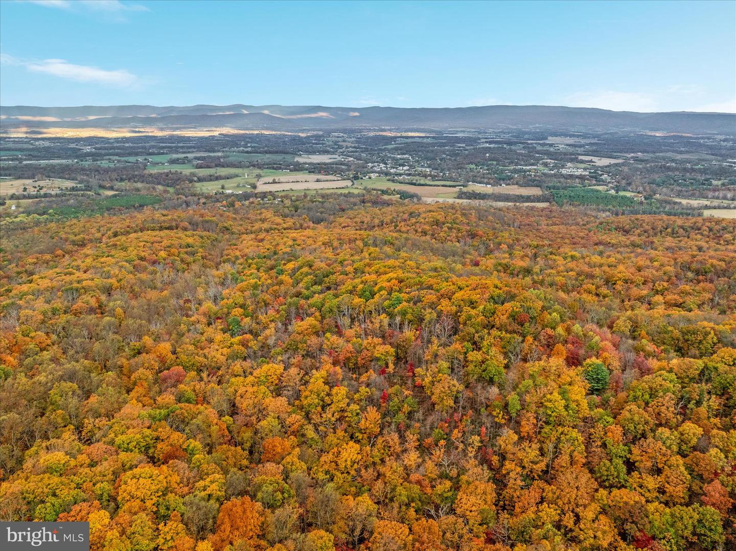 875 HUNTER LN, EDINBURG, Virginia 22824, 1 Bedroom Bedrooms, ,1 BathroomBathrooms,Residential,For sale,875 HUNTER LN,VASH2012862 MLS # VASH2012862