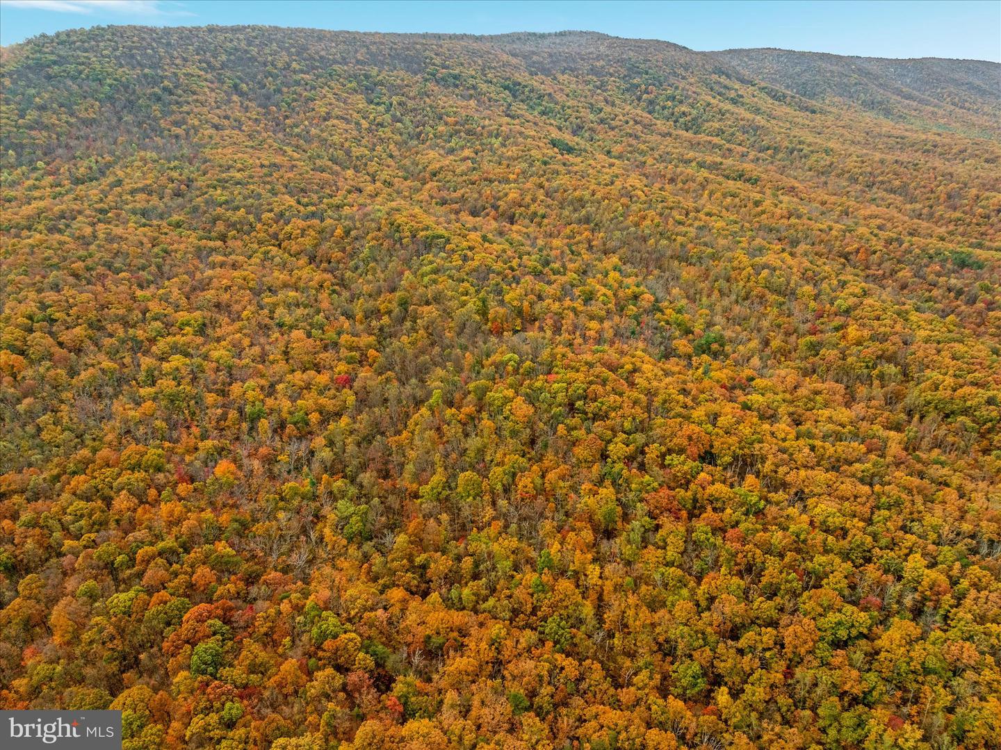 875 HUNTER LN, EDINBURG, Virginia 22824, 1 Bedroom Bedrooms, ,1 BathroomBathrooms,Residential,For sale,875 HUNTER LN,VASH2012862 MLS # VASH2012862