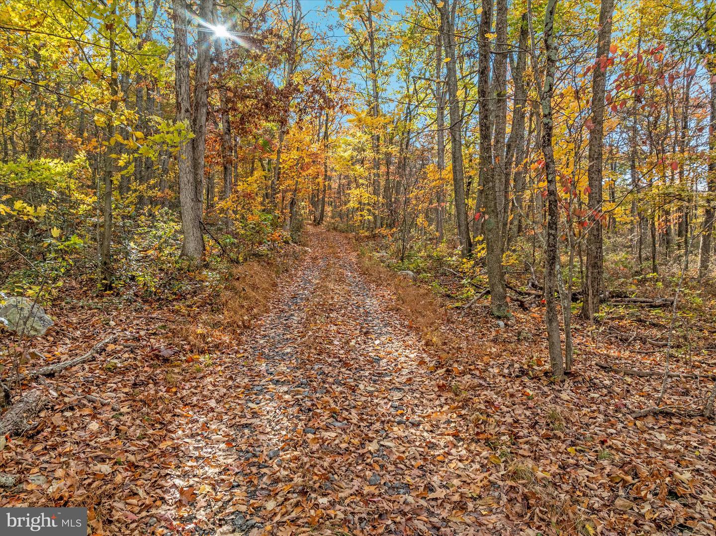 875 HUNTER LN, EDINBURG, Virginia 22824, 1 Bedroom Bedrooms, ,1 BathroomBathrooms,Residential,For sale,875 HUNTER LN,VASH2012862 MLS # VASH2012862