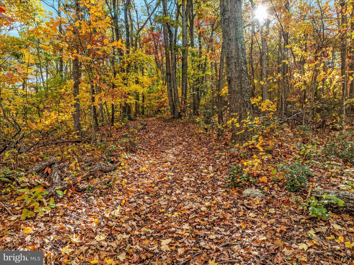 875 HUNTER LN, EDINBURG, Virginia 22824, 1 Bedroom Bedrooms, ,1 BathroomBathrooms,Residential,For sale,875 HUNTER LN,VASH2012862 MLS # VASH2012862