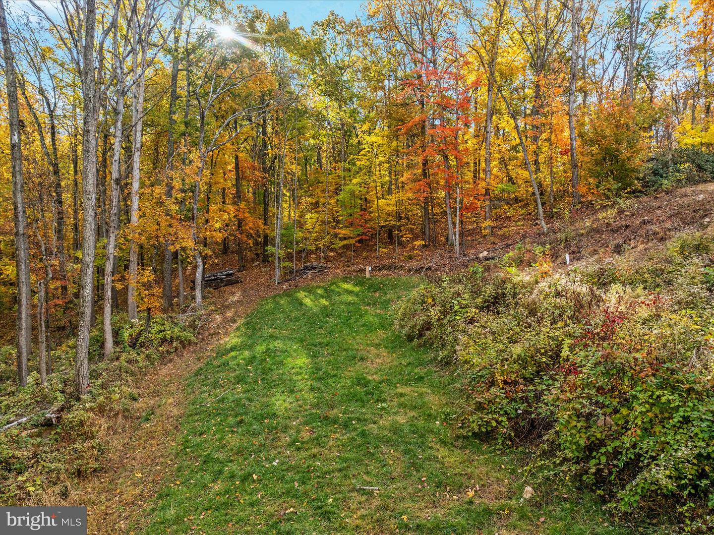 875 HUNTER LN, EDINBURG, Virginia 22824, 1 Bedroom Bedrooms, ,1 BathroomBathrooms,Residential,For sale,875 HUNTER LN,VASH2012862 MLS # VASH2012862