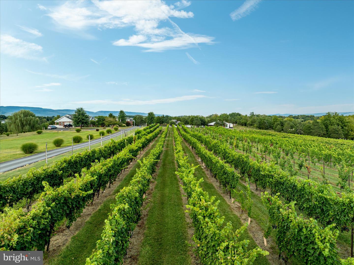 875 HUNTER LN, EDINBURG, Virginia 22824, 1 Bedroom Bedrooms, ,1 BathroomBathrooms,Residential,For sale,875 HUNTER LN,VASH2012862 MLS # VASH2012862