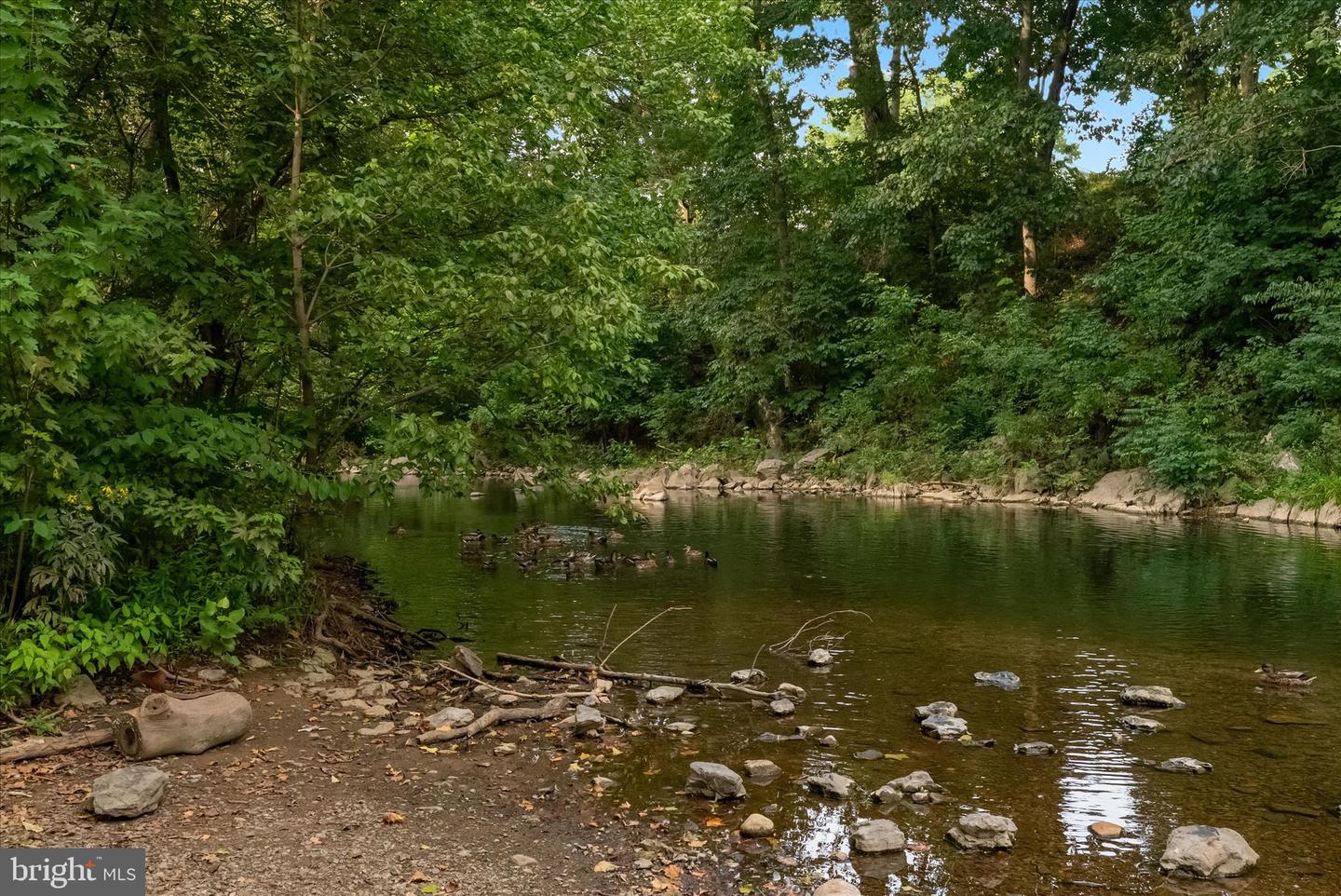 875 HUNTER LN, EDINBURG, Virginia 22824, 1 Bedroom Bedrooms, ,1 BathroomBathrooms,Residential,For sale,875 HUNTER LN,VASH2012862 MLS # VASH2012862