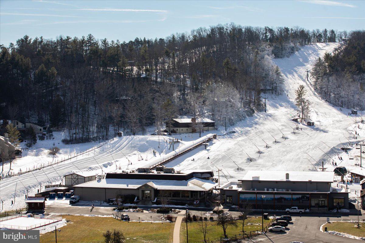 875 HUNTER LN, EDINBURG, Virginia 22824, 1 Bedroom Bedrooms, ,1 BathroomBathrooms,Residential,For sale,875 HUNTER LN,VASH2012862 MLS # VASH2012862 875 HUNTER LN, EDINBURG, Virginia 22824, 1 Bedroom Bedrooms, ,1 BathroomBathrooms,Residential,For sale,875 HUNTER LN,VASH2012862 MLS # VASH2012862