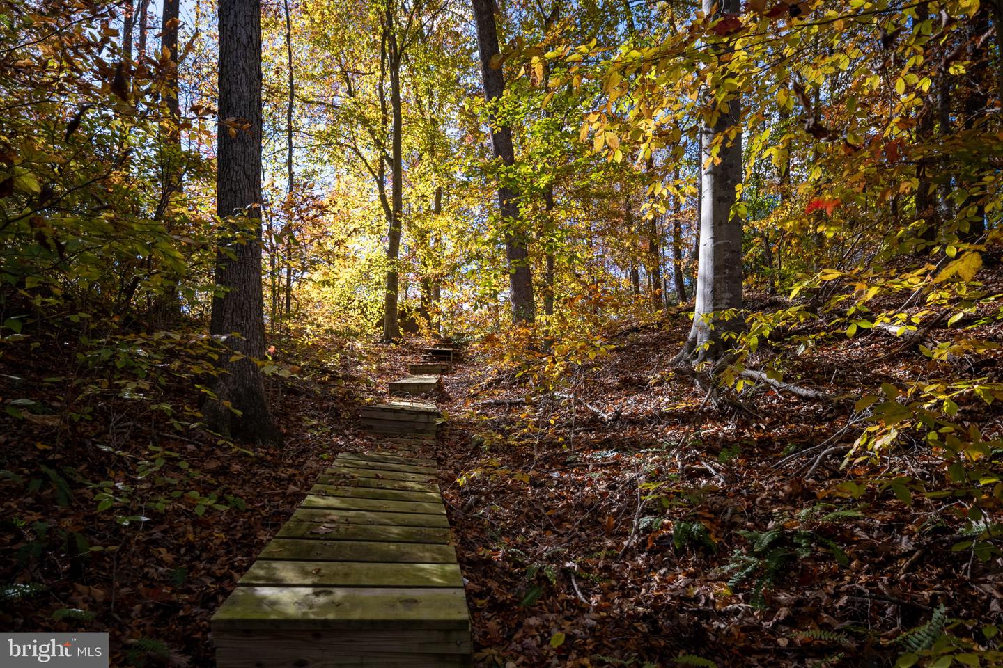 231 KIMBERWICK LN, STAFFORD, Virginia 22556, 6 Bedrooms Bedrooms, ,4 BathroomsBathrooms,Residential,For sale,231 KIMBERWICK LN,VAST2043842 MLS # VAST2043842