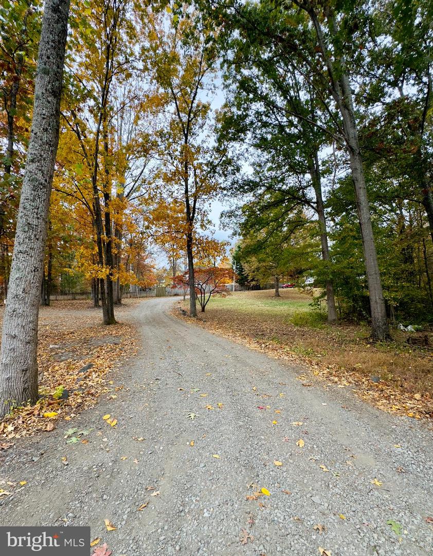 7632 GREENWICH RD, NOKESVILLE, Virginia 20181, 4 Bedrooms Bedrooms, ,2 BathroomsBathrooms,Residential,For sale,7632 GREENWICH RD,VAFQ2019492 MLS # VAFQ2019492 7632 GREENWICH RD, NOKESVILLE, Virginia 20181, 4 Bedrooms Bedrooms, ,2 BathroomsBathrooms,Residential,For sale,7632 GREENWICH RD,VAFQ2019492 MLS # VAFQ2019492