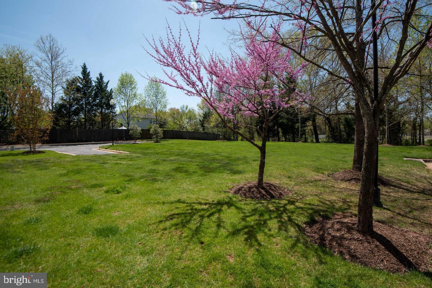 8600 LIBERTY TRL #303, MANASSAS, Virginia 20110, 2 Bedrooms Bedrooms, ,2 BathroomsBathrooms,Residential,For sale,8600 LIBERTY TRL #303,VAMN2009612 MLS # VAMN2009612 8600 LIBERTY TRL #303, MANASSAS, Virginia 20110, 2 Bedrooms Bedrooms, ,2 BathroomsBathrooms,Residential,For sale,8600 LIBERTY TRL #303,VAMN2009612 MLS # VAMN2009612