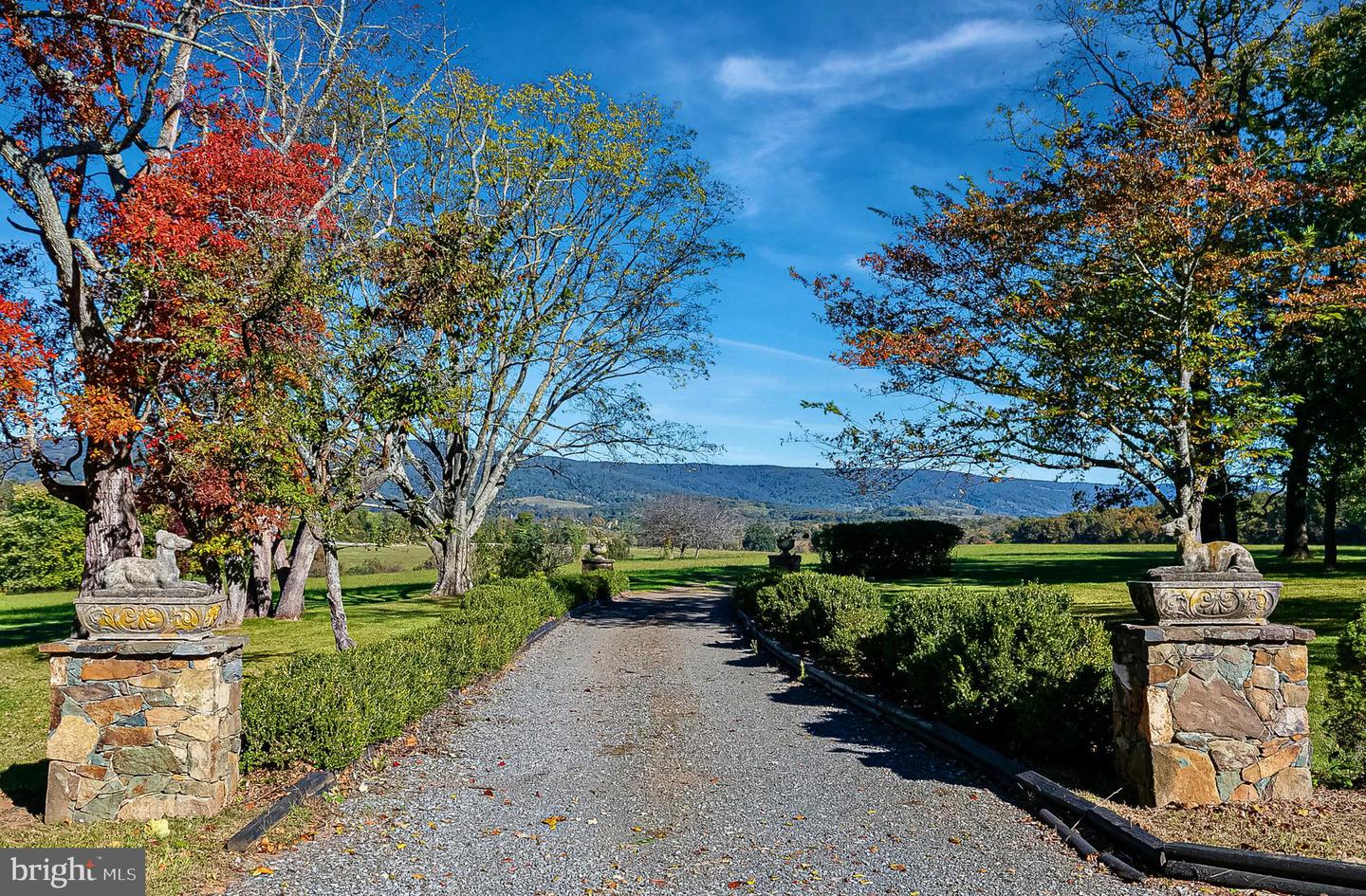 1610 DELAPLANE GRADE RD, UPPERVILLE, Virginia 20184, 6 Bedrooms Bedrooms, ,6 BathroomsBathrooms,Residential,For sale,1610 DELAPLANE GRADE RD,VAFQ2019532 MLS # VAFQ2019532 1610 DELAPLANE GRADE RD, UPPERVILLE, Virginia 20184, 6 Bedrooms Bedrooms, ,6 BathroomsBathrooms,Residential,For sale,1610 DELAPLANE GRADE RD,VAFQ2019532 MLS # VAFQ2019532