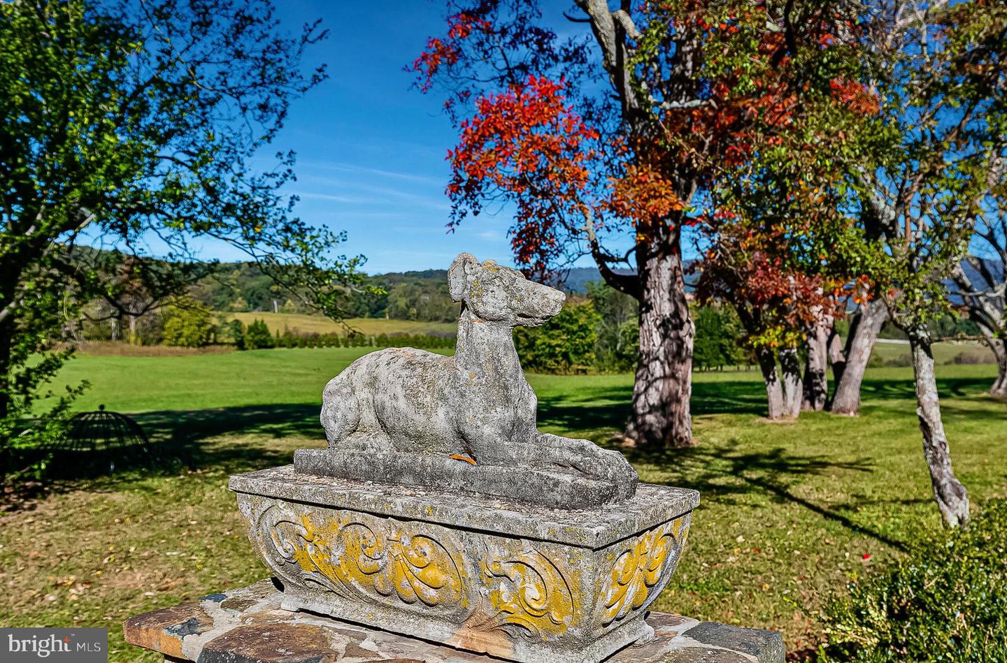 1610 DELAPLANE GRADE RD, UPPERVILLE, Virginia 20184, 6 Bedrooms Bedrooms, ,6 BathroomsBathrooms,Residential,For sale,1610 DELAPLANE GRADE RD,VAFQ2019532 MLS # VAFQ2019532 1610 DELAPLANE GRADE RD, UPPERVILLE, Virginia 20184, 6 Bedrooms Bedrooms, ,6 BathroomsBathrooms,Residential,For sale,1610 DELAPLANE GRADE RD,VAFQ2019532 MLS # VAFQ2019532