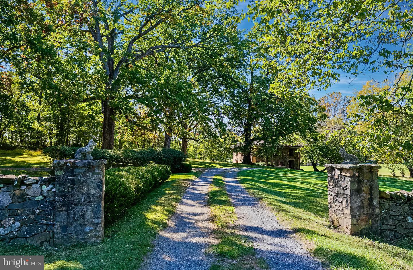 1610 DELAPLANE GRADE RD, UPPERVILLE, Virginia 20184, 6 Bedrooms Bedrooms, ,6 BathroomsBathrooms,Residential,For sale,1610 DELAPLANE GRADE RD,VAFQ2019532 MLS # VAFQ2019532 1610 DELAPLANE GRADE RD, UPPERVILLE, Virginia 20184, 6 Bedrooms Bedrooms, ,6 BathroomsBathrooms,Residential,For sale,1610 DELAPLANE GRADE RD,VAFQ2019532 MLS # VAFQ2019532