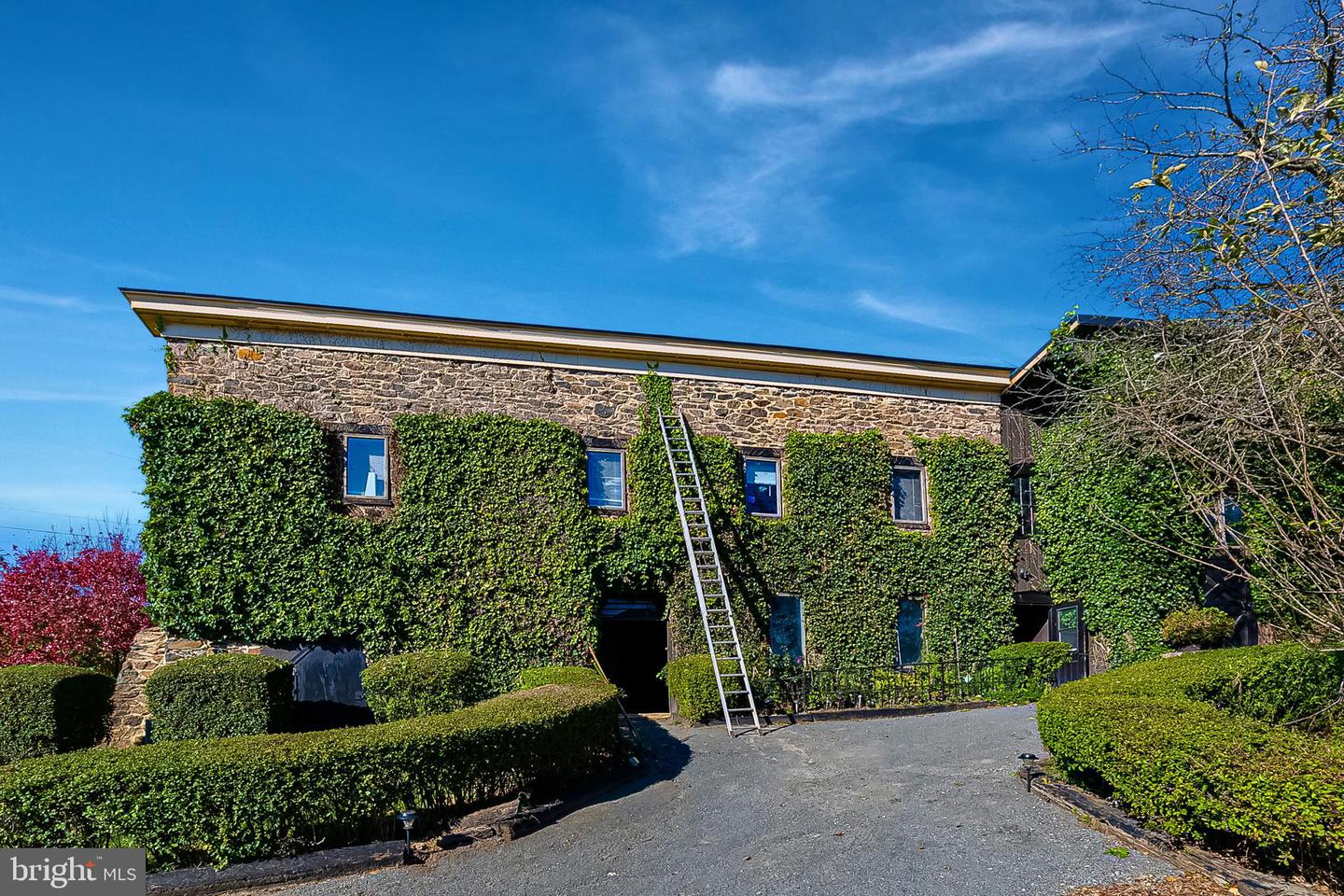 1610 DELAPLANE GRADE RD, UPPERVILLE, Virginia 20184, 6 Bedrooms Bedrooms, ,6 BathroomsBathrooms,Residential,For sale,1610 DELAPLANE GRADE RD,VAFQ2019532 MLS # VAFQ2019532 1610 DELAPLANE GRADE RD, UPPERVILLE, Virginia 20184, 6 Bedrooms Bedrooms, ,6 BathroomsBathrooms,Residential,For sale,1610 DELAPLANE GRADE RD,VAFQ2019532 MLS # VAFQ2019532