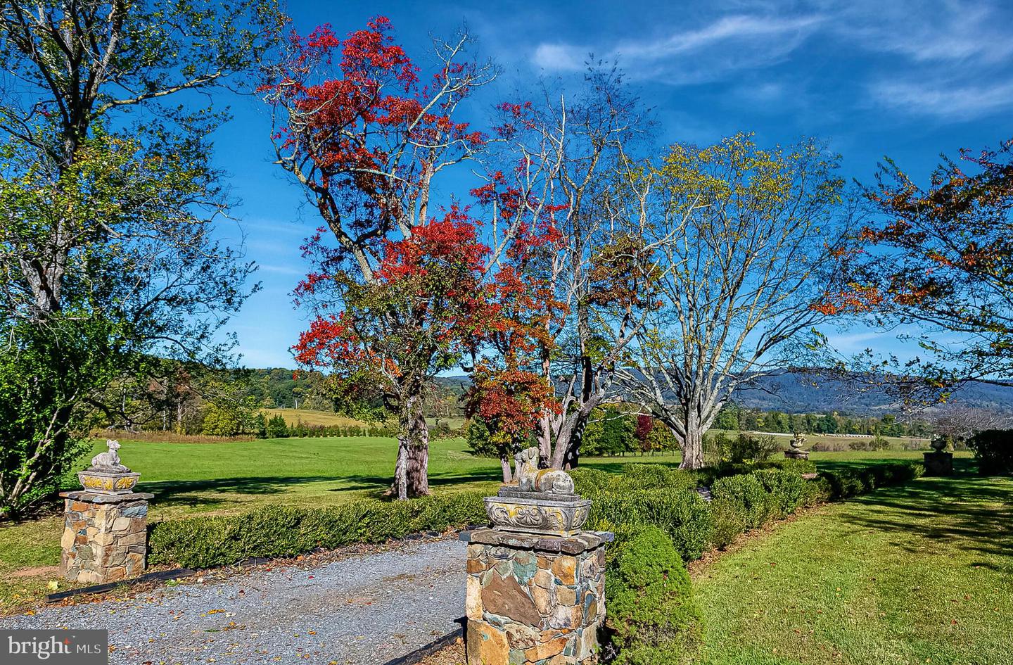 1610 DELAPLANE GRADE RD, UPPERVILLE, Virginia 20184, 6 Bedrooms Bedrooms, ,6 BathroomsBathrooms,Residential,For sale,1610 DELAPLANE GRADE RD,VAFQ2019532 MLS # VAFQ2019532 1610 DELAPLANE GRADE RD, UPPERVILLE, Virginia 20184, 6 Bedrooms Bedrooms, ,6 BathroomsBathrooms,Residential,For sale,1610 DELAPLANE GRADE RD,VAFQ2019532 MLS # VAFQ2019532