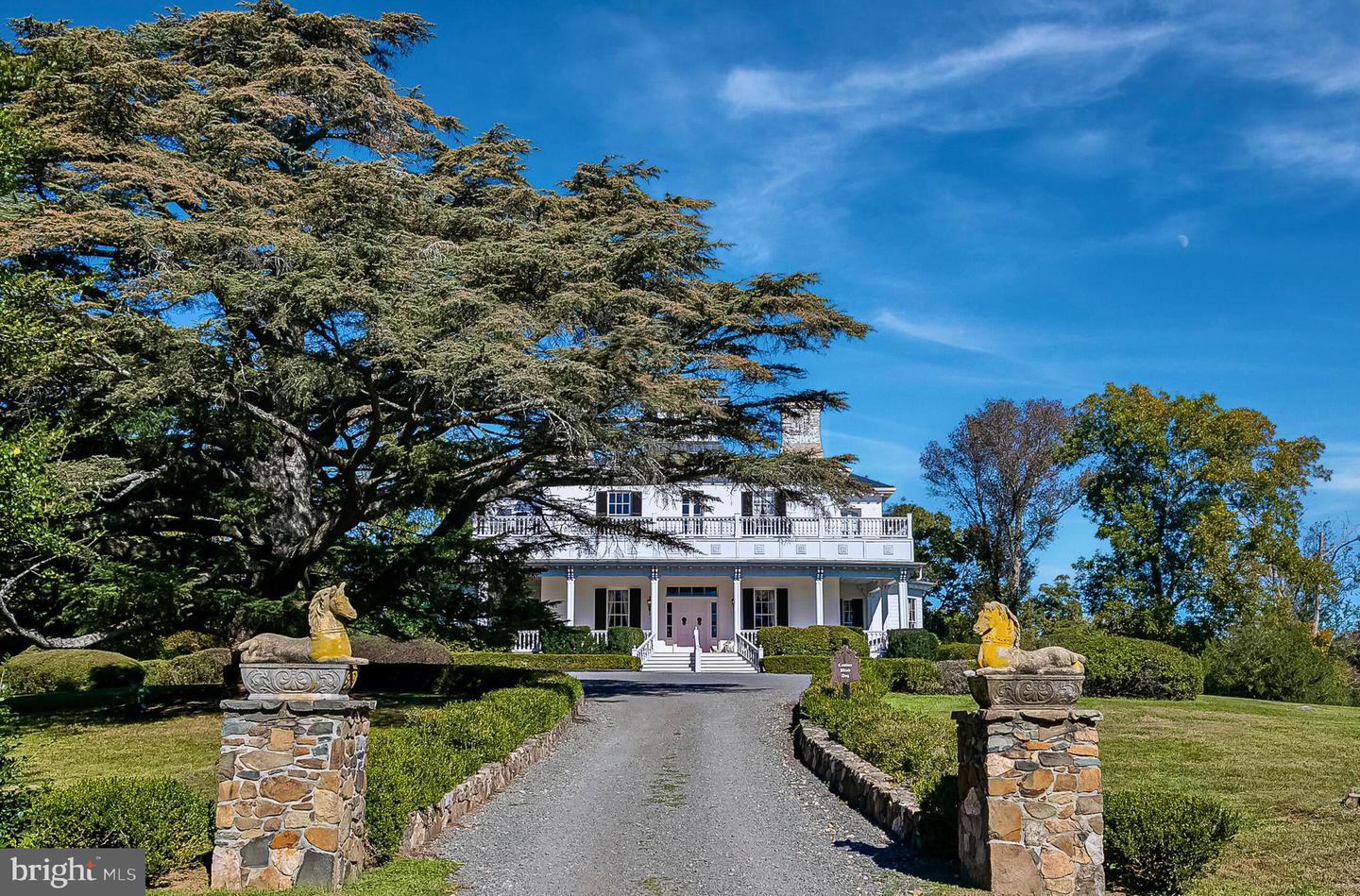 1610 DELAPLANE GRADE RD, UPPERVILLE, Virginia 20184, 6 Bedrooms Bedrooms, ,6 BathroomsBathrooms,Residential,For sale,1610 DELAPLANE GRADE RD,VAFQ2019532 MLS # VAFQ2019532 1610 DELAPLANE GRADE RD, UPPERVILLE, Virginia 20184, 6 Bedrooms Bedrooms, ,6 BathroomsBathrooms,Residential,For sale,1610 DELAPLANE GRADE RD,VAFQ2019532 MLS # VAFQ2019532