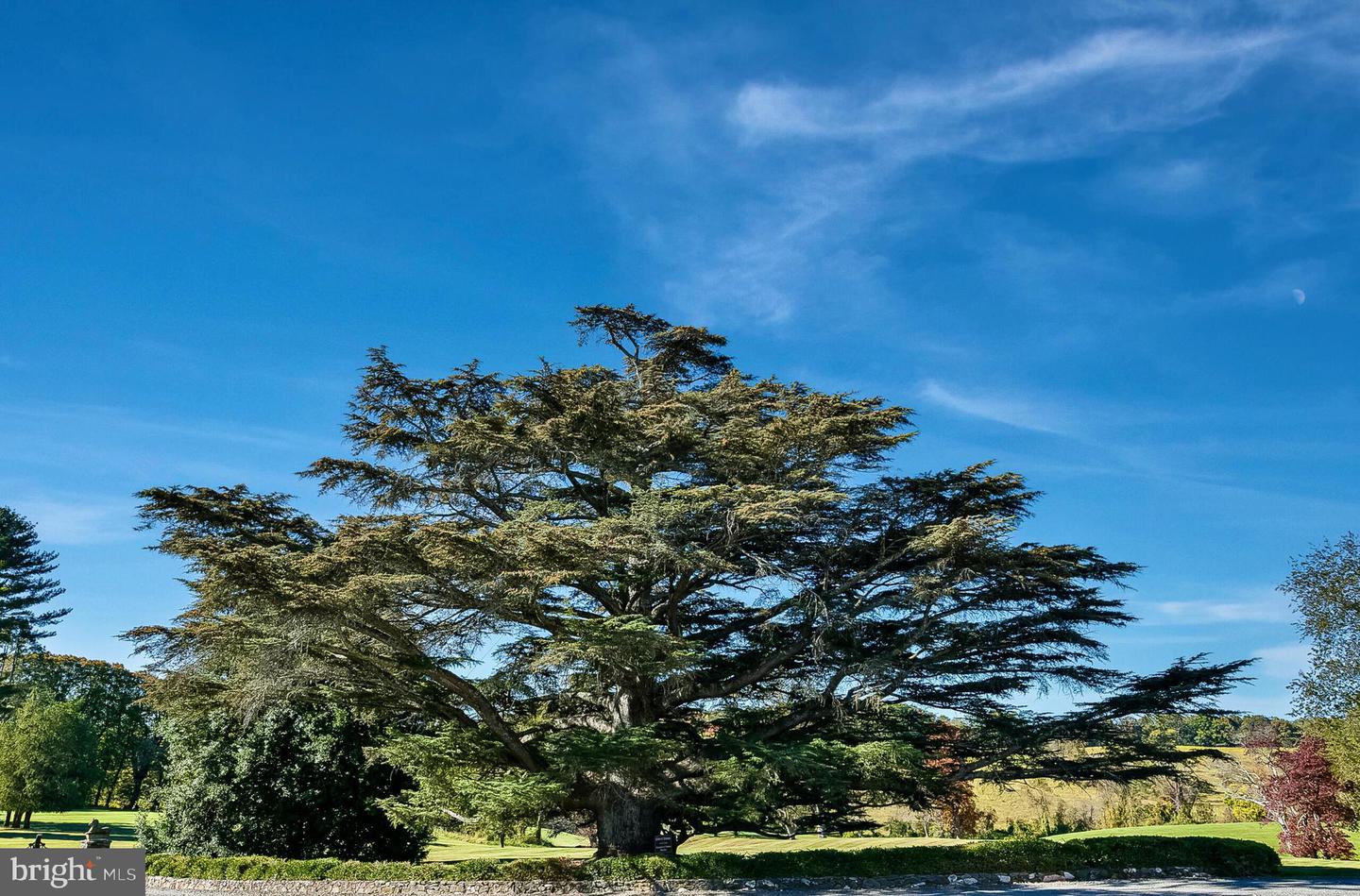 1610 DELAPLANE GRADE RD, UPPERVILLE, Virginia 20184, 6 Bedrooms Bedrooms, ,6 BathroomsBathrooms,Residential,For sale,1610 DELAPLANE GRADE RD,VAFQ2019532 MLS # VAFQ2019532 1610 DELAPLANE GRADE RD, UPPERVILLE, Virginia 20184, 6 Bedrooms Bedrooms, ,6 BathroomsBathrooms,Residential,For sale,1610 DELAPLANE GRADE RD,VAFQ2019532 MLS # VAFQ2019532