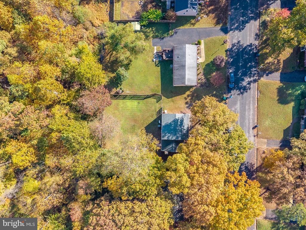 11130 GUILFORD RD, NORTH CHESTERFIELD, Virginia 23235, 4 Bedrooms Bedrooms, 12 Rooms Rooms,2 BathroomsBathrooms,Residential,For sale,11130 GUILFORD RD,VACF2001304 MLS # VACF2001304 11130 GUILFORD RD, NORTH CHESTERFIELD, Virginia 23235, 4 Bedrooms Bedrooms, 12 Rooms Rooms,2 BathroomsBathrooms,Residential,For sale,11130 GUILFORD RD,VACF2001304 MLS # VACF2001304