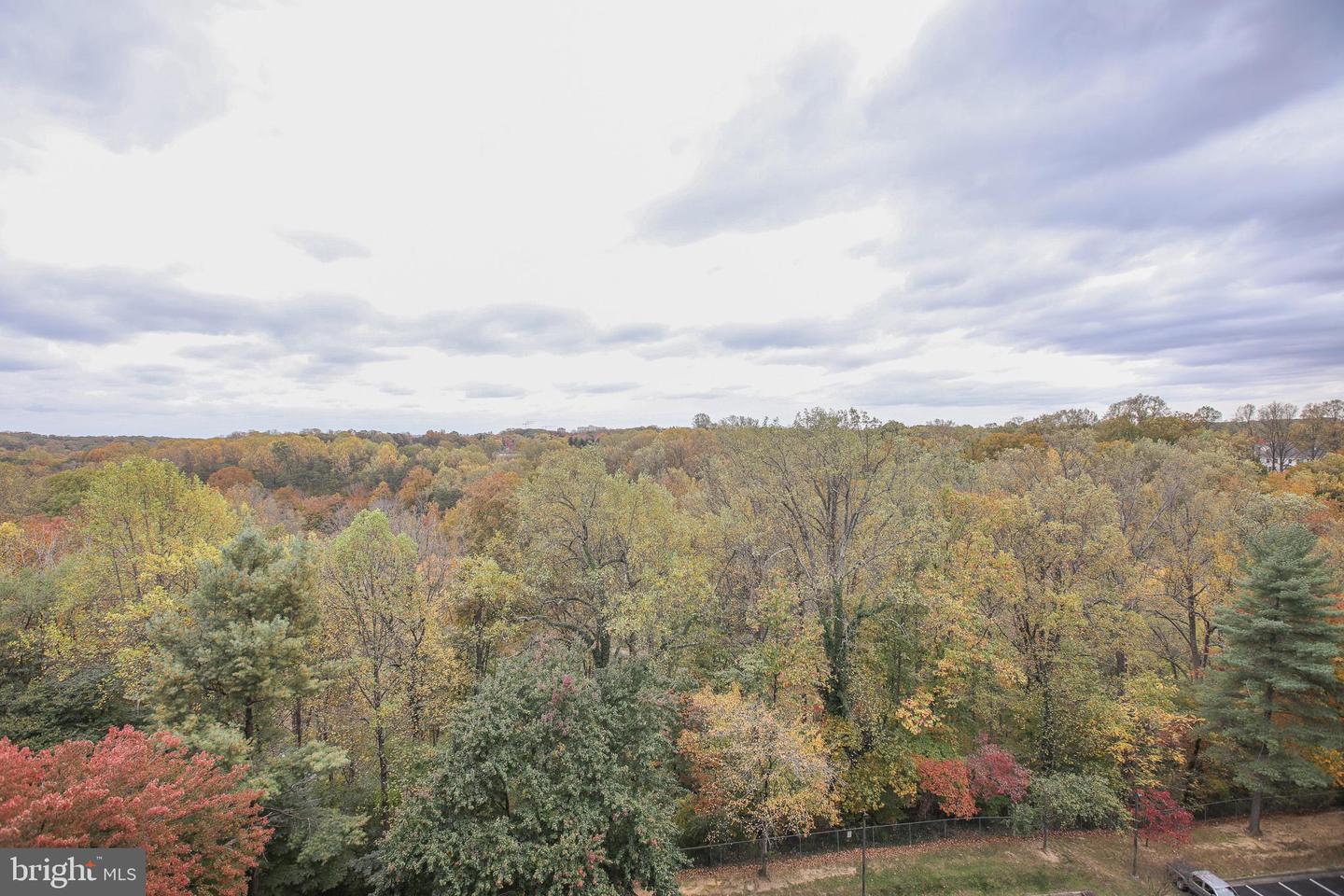 3800 POWELL LN #1121, FALLS CHURCH, Virginia 22041, 3 Bedrooms Bedrooms, ,2 BathroomsBathrooms,Residential,For sale,3800 POWELL LN #1121,VAFX2277086 MLS # VAFX2277086 3800 POWELL LN #1121, FALLS CHURCH, Virginia 22041, 3 Bedrooms Bedrooms, ,2 BathroomsBathrooms,Residential,For sale,3800 POWELL LN #1121,VAFX2277086 MLS # VAFX2277086