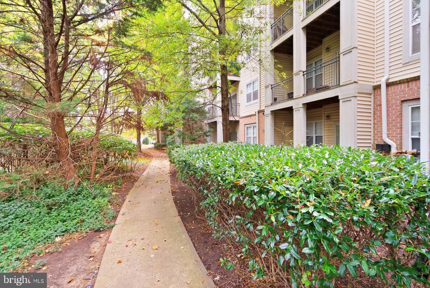 12128 GARDEN RIDGE LN #203, FAIRFAX, Virginia 22030, 1 Bedroom Bedrooms, ,1 BathroomBathrooms,Residential,For sale,12128 GARDEN RIDGE LN #203,VAFX2277126 MLS # VAFX2277126 12128 GARDEN RIDGE LN #203, FAIRFAX, Virginia 22030, 1 Bedroom Bedrooms, ,1 BathroomBathrooms,Residential,For sale,12128 GARDEN RIDGE LN #203,VAFX2277126 MLS # VAFX2277126