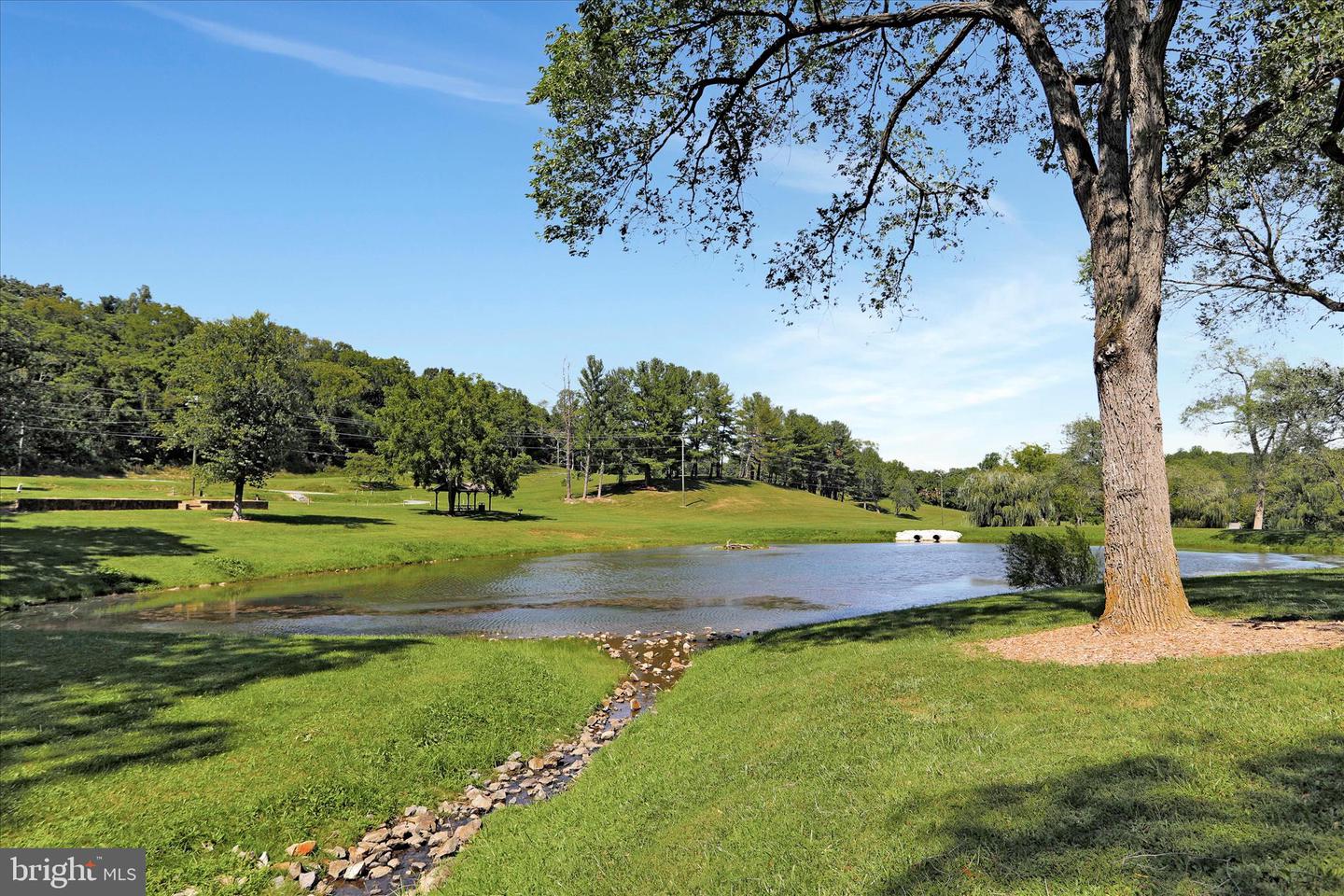 LOT 56 BEAR TRAIL, WINCHESTER, Virginia 22602, ,Land,For sale,LOT 56 BEAR TRAIL,VAFV2037756 MLS # VAFV2037756 LOT 56 BEAR TRAIL, WINCHESTER, Virginia 22602, ,Land,For sale,LOT 56 BEAR TRAIL,VAFV2037756 MLS # VAFV2037756