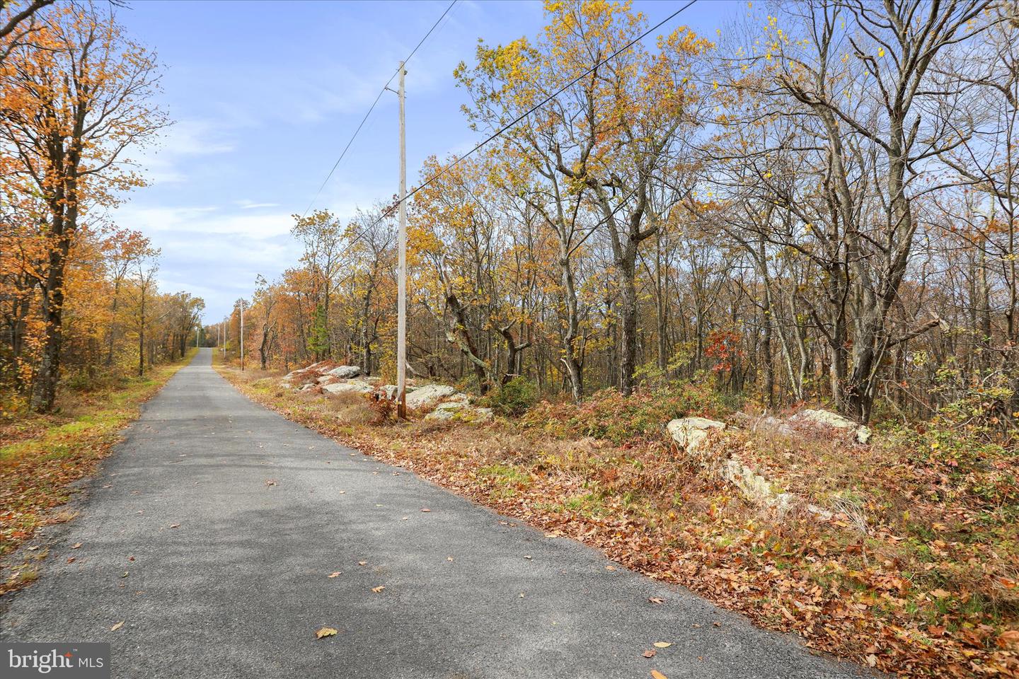 LOT 56 BEAR TRAIL, WINCHESTER, Virginia 22602, ,Land,For sale,LOT 56 BEAR TRAIL,VAFV2037756 MLS # VAFV2037756 LOT 56 BEAR TRAIL, WINCHESTER, Virginia 22602, ,Land,For sale,LOT 56 BEAR TRAIL,VAFV2037756 MLS # VAFV2037756